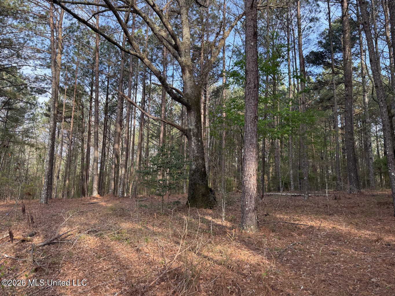 288 Galilee Road Property Photo 3