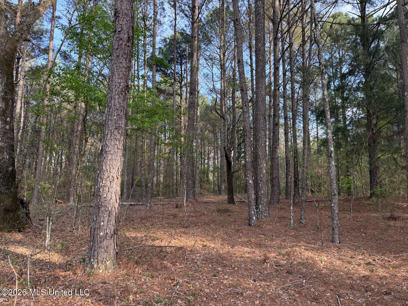 288 Galilee Road Property Photo 4