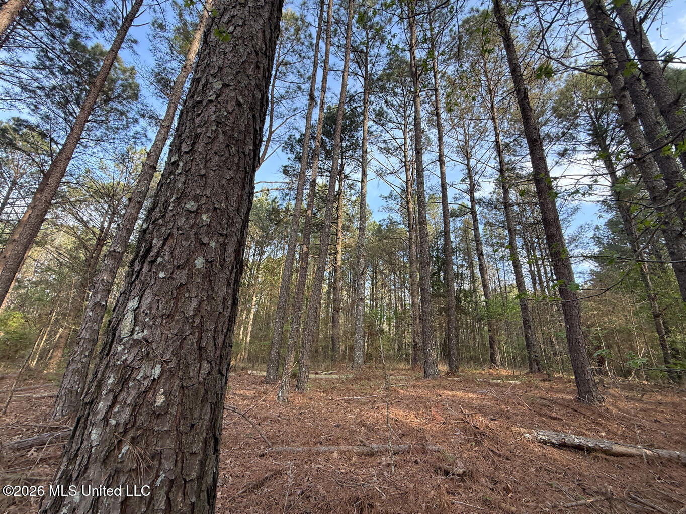 288 Galilee Road Property Photo 5