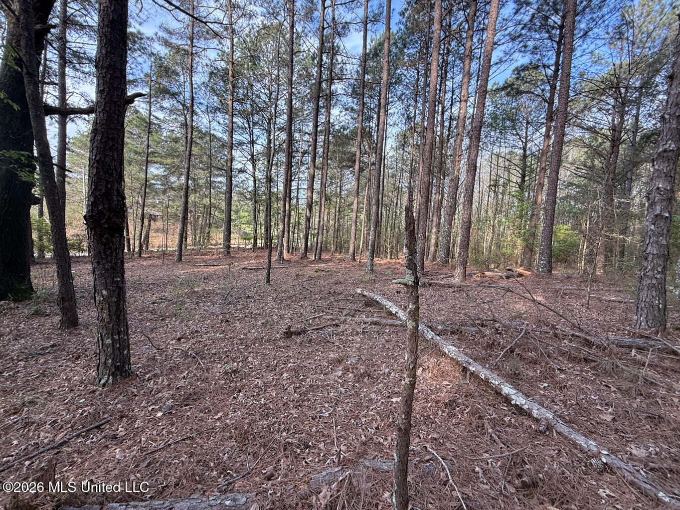 288 Galilee Road Property Photo 6