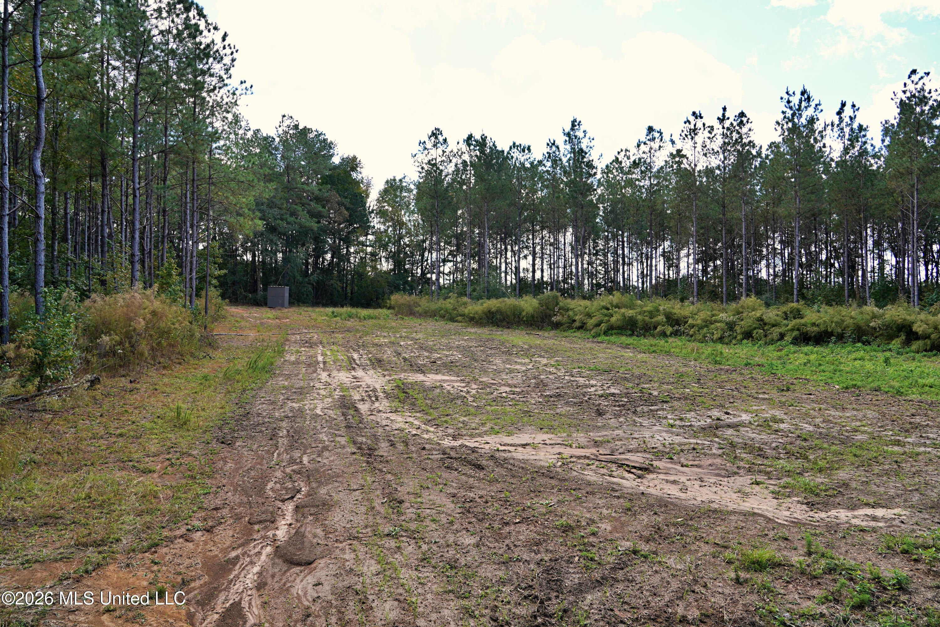 0 Mallalieu Drive Property Photo 6