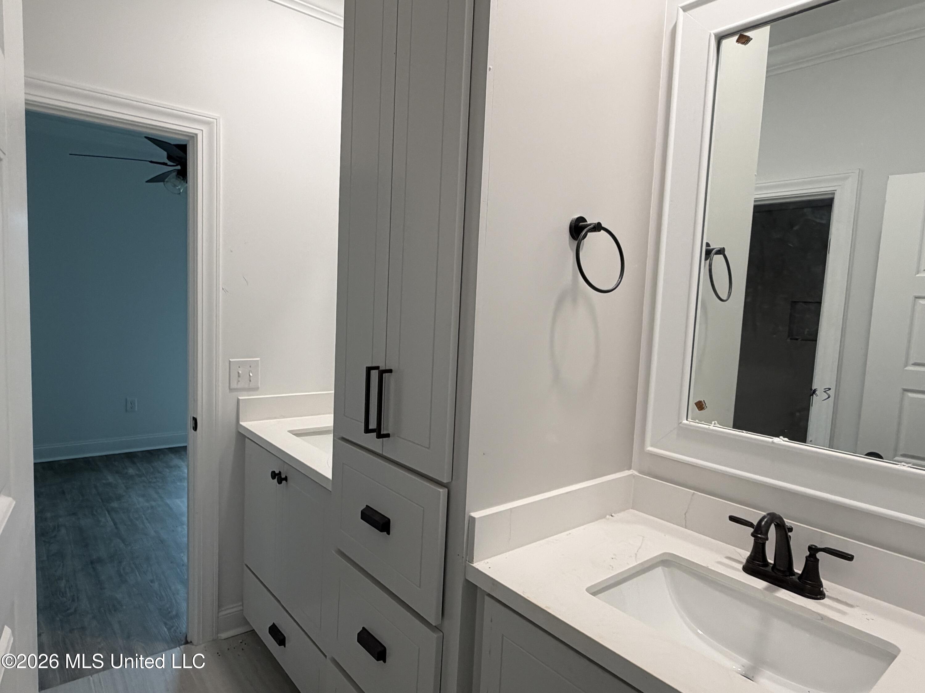 201 Jasmine Cove Circle Property Photo 6