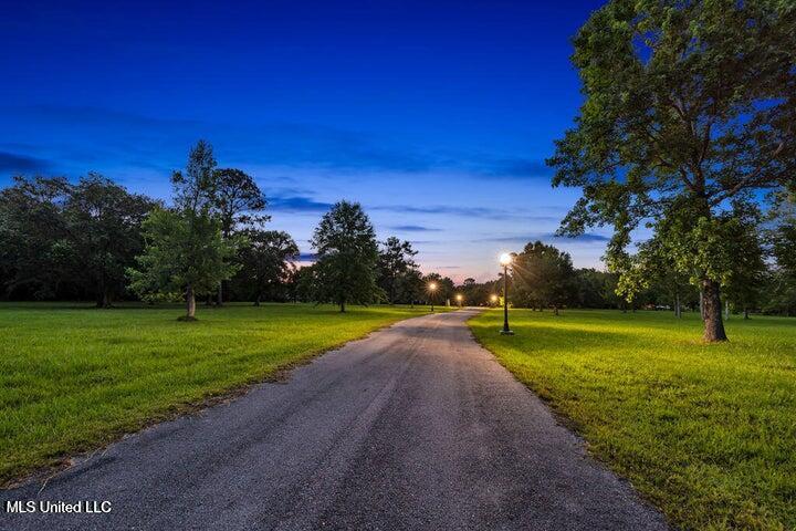 24071 Cuevas Delisle (a/b) Road Property Photo 6