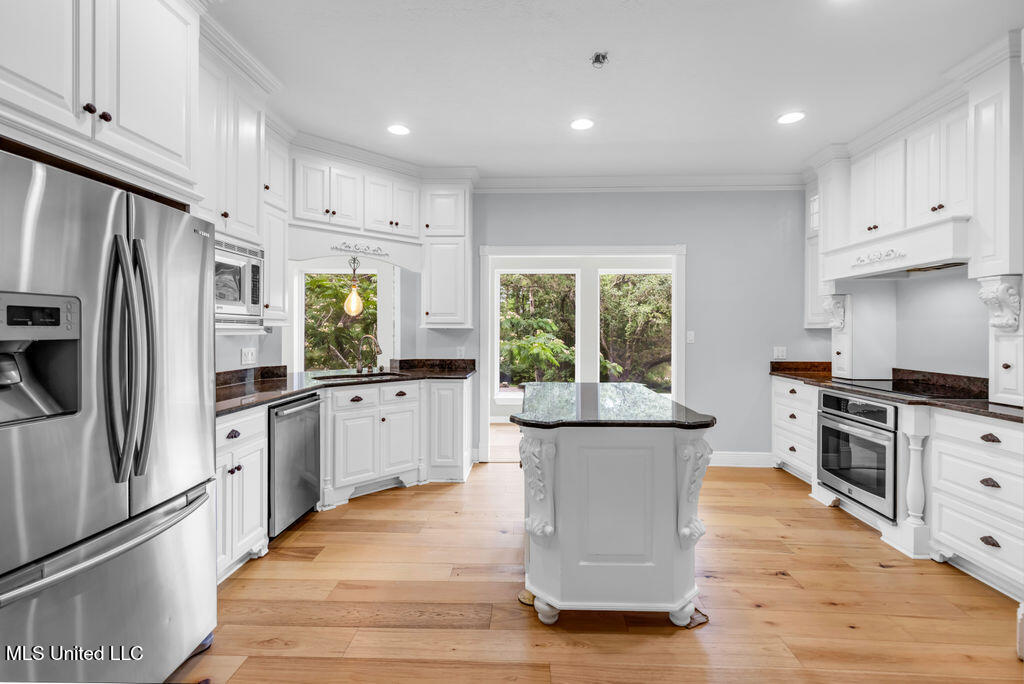 24071 Cuevas Delisle (a/b) Road Property Photo 11