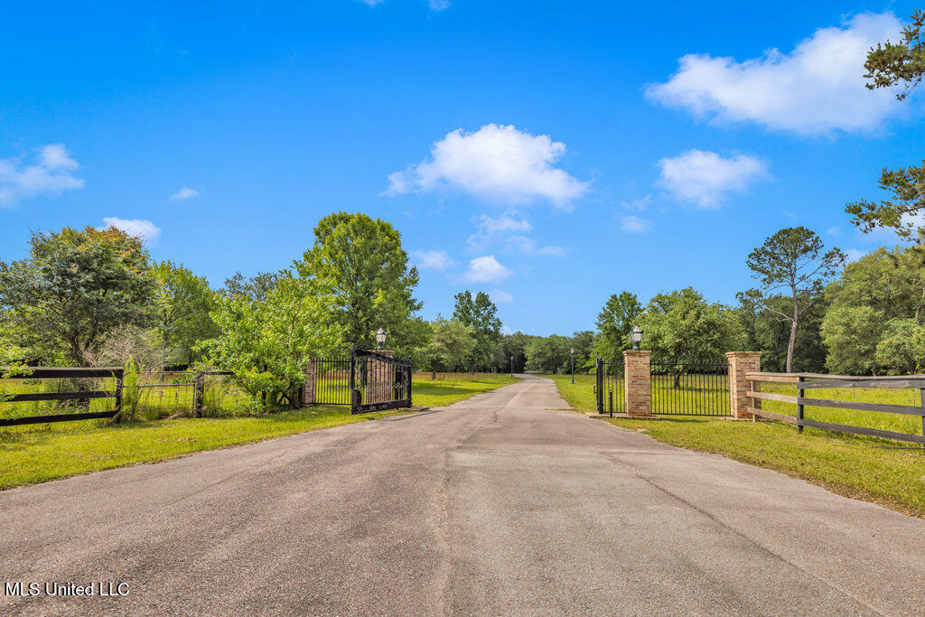 24071 Cuevas Delisle (a/b) Road Property Photo 17