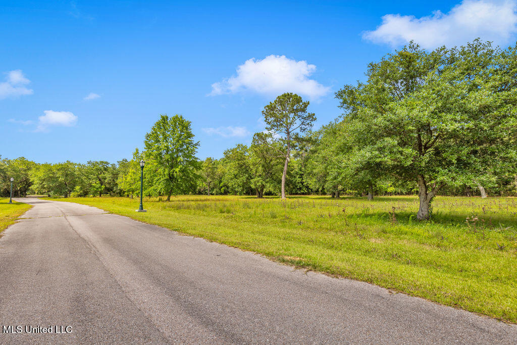 24071 Cuevas Delisle (a/b) Road Property Photo 19