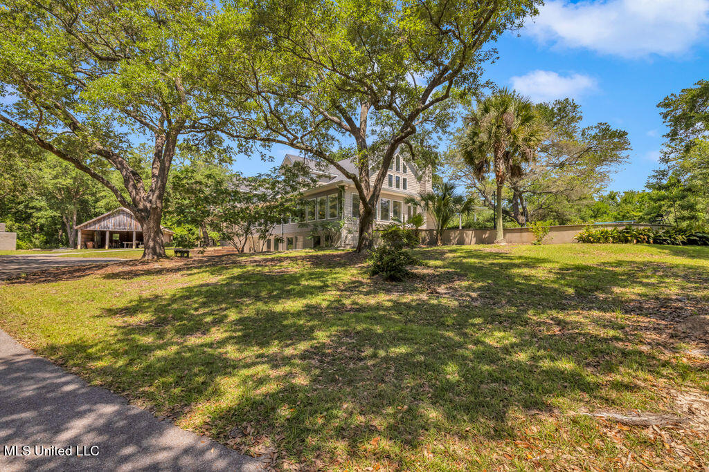 24071 Cuevas Delisle (a/b) Road Property Photo 106