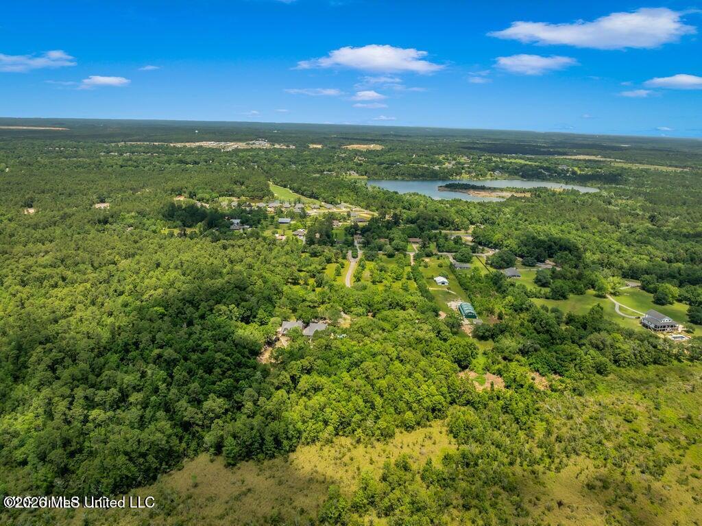 24071 Cuevas Delisle (a/b) Road Property Photo 129