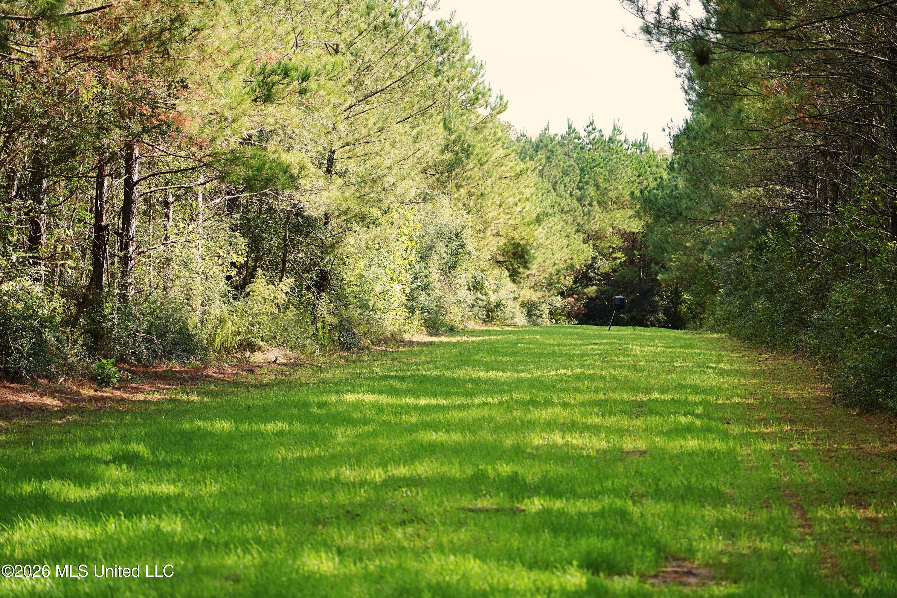 Se Pleasant Grove Road Property Photo 8
