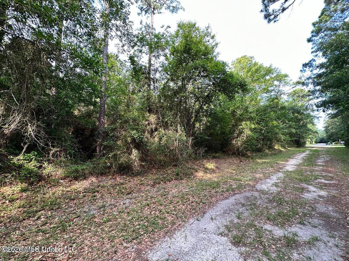 Bay Street Property Photo 4