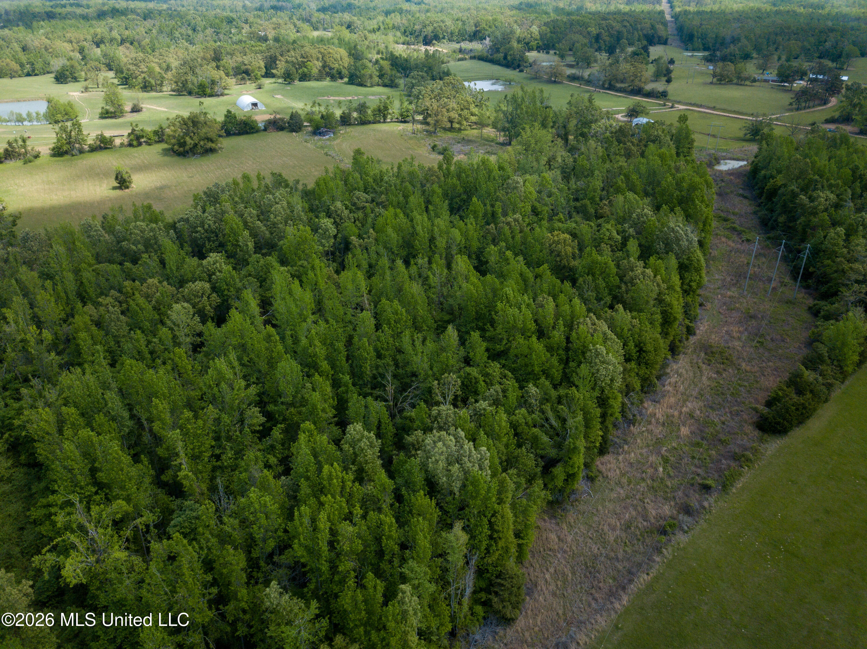 Sweetwater Road Property Photo 15