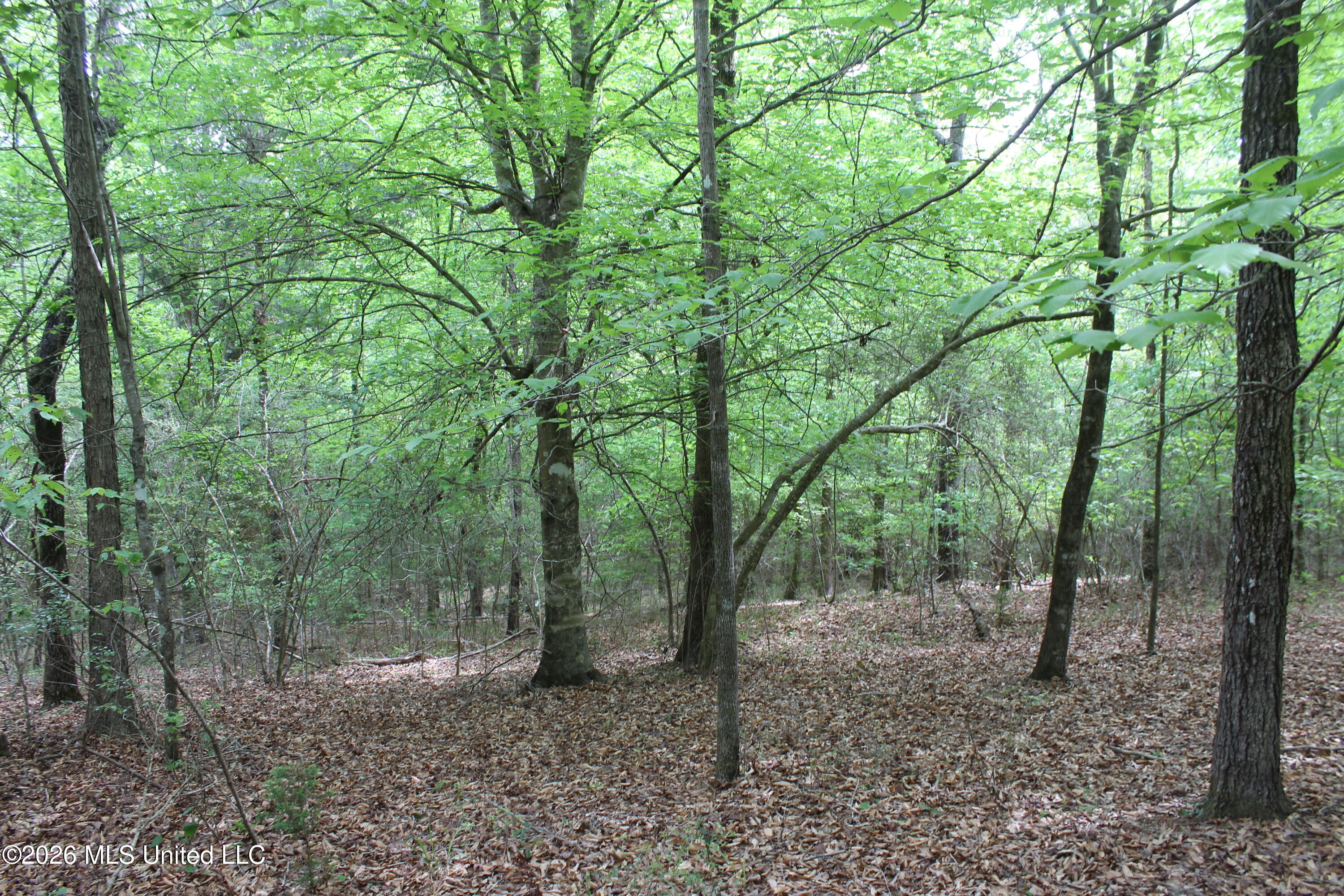 Charlie Boyd Road Property Photo 3