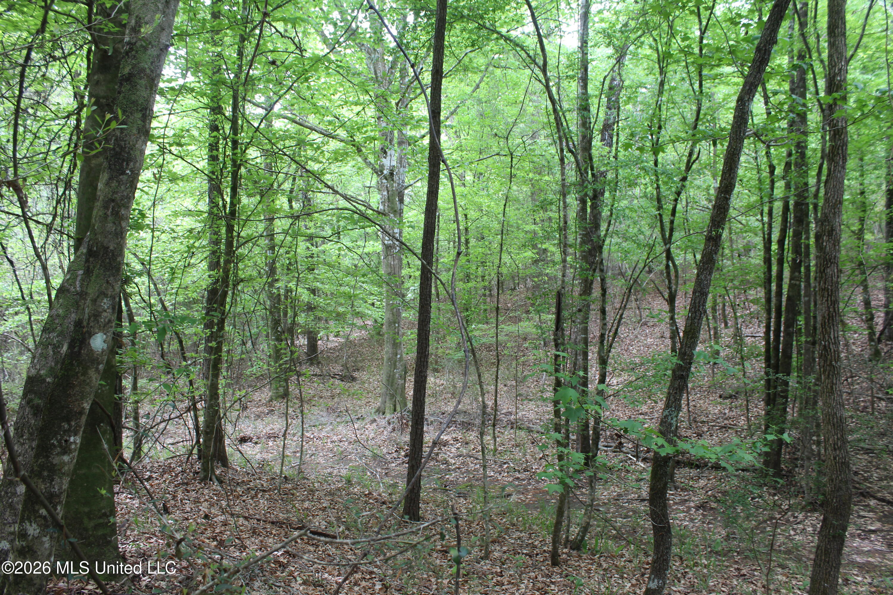 Charlie Boyd Road Property Photo 6