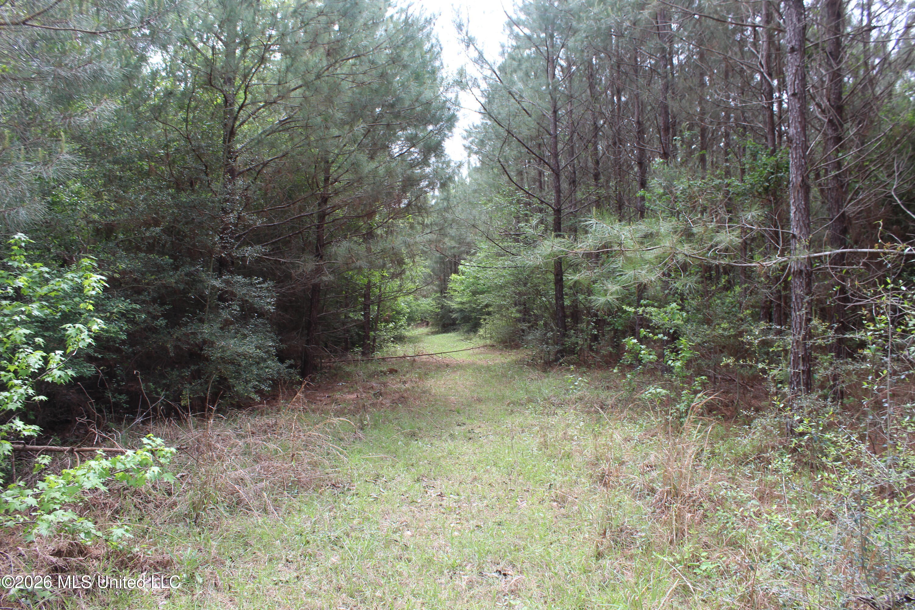 Charlie Boyd Road Property Photo 7