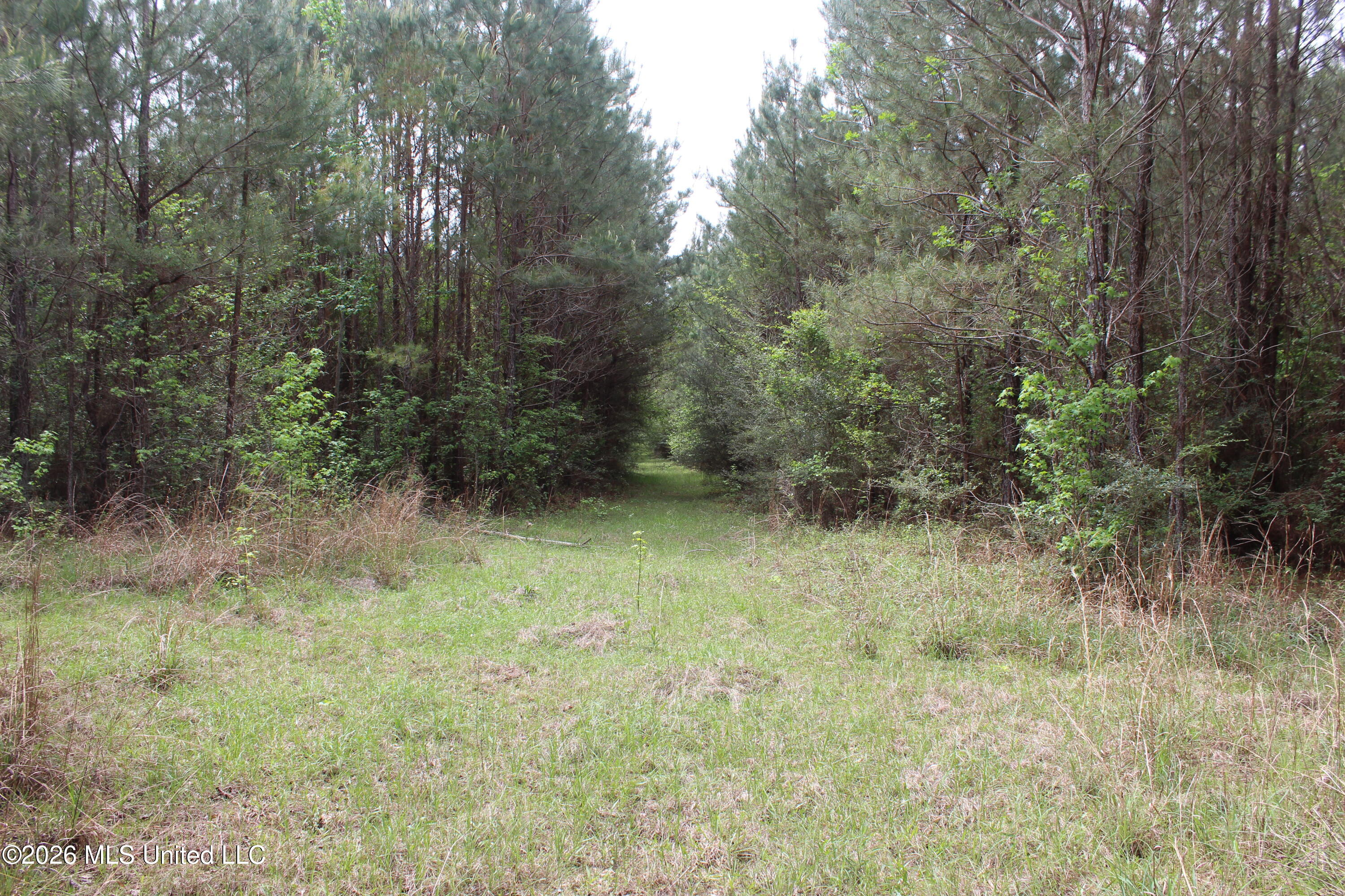 Charlie Boyd Road Property Photo 8