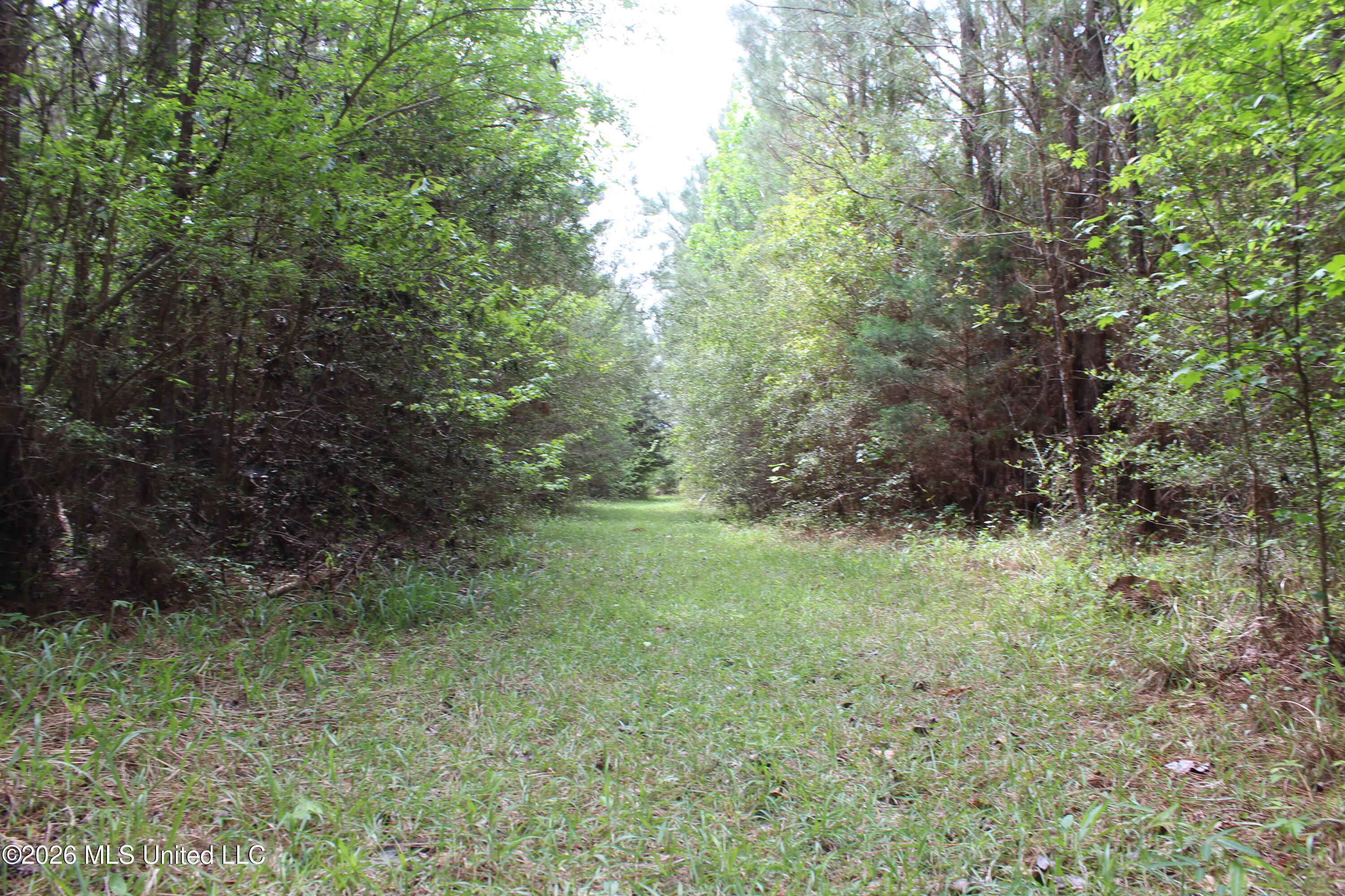 Charlie Boyd Road Property Photo 10