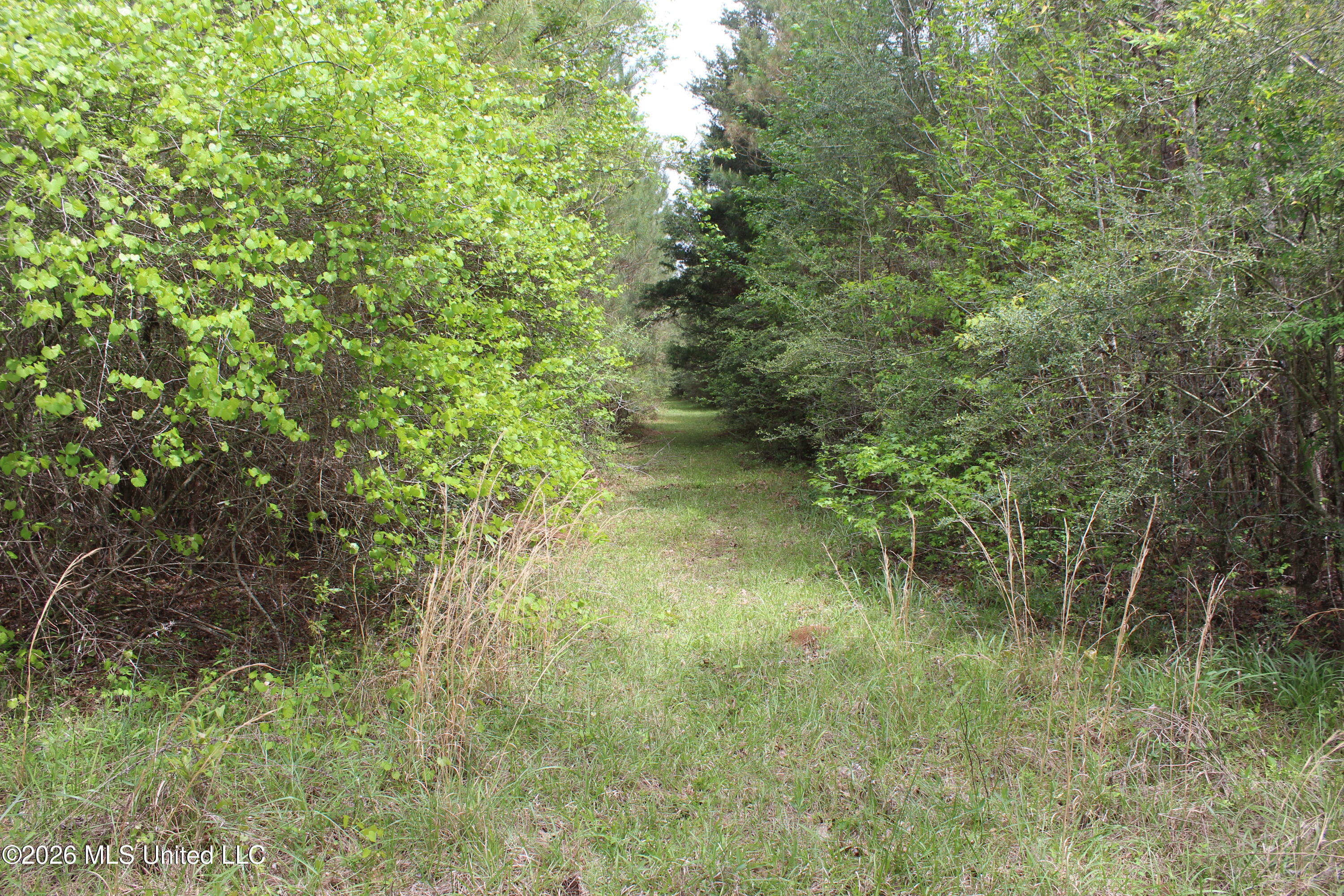 Charlie Boyd Road Property Photo 11