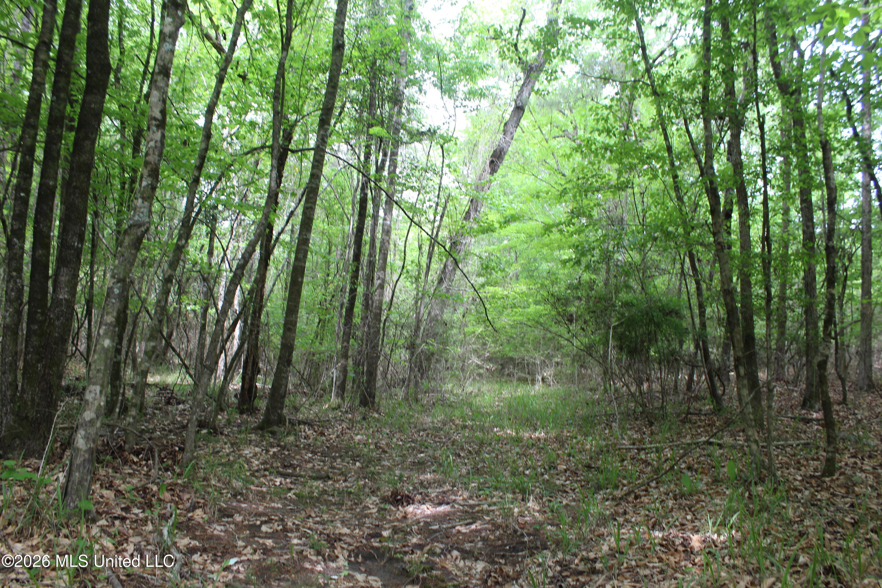 Charlie Boyd Road Property Photo 13