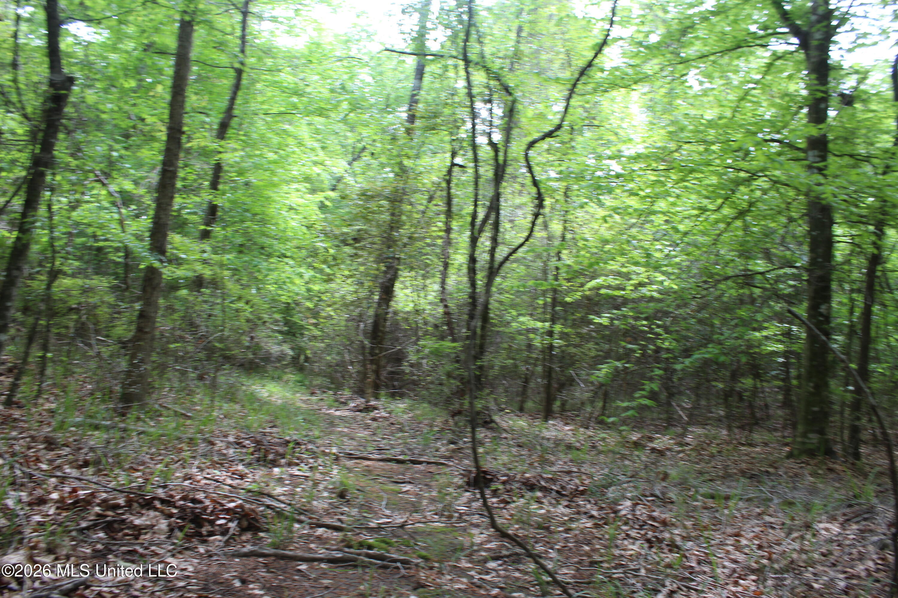 Charlie Boyd Road Property Photo 14