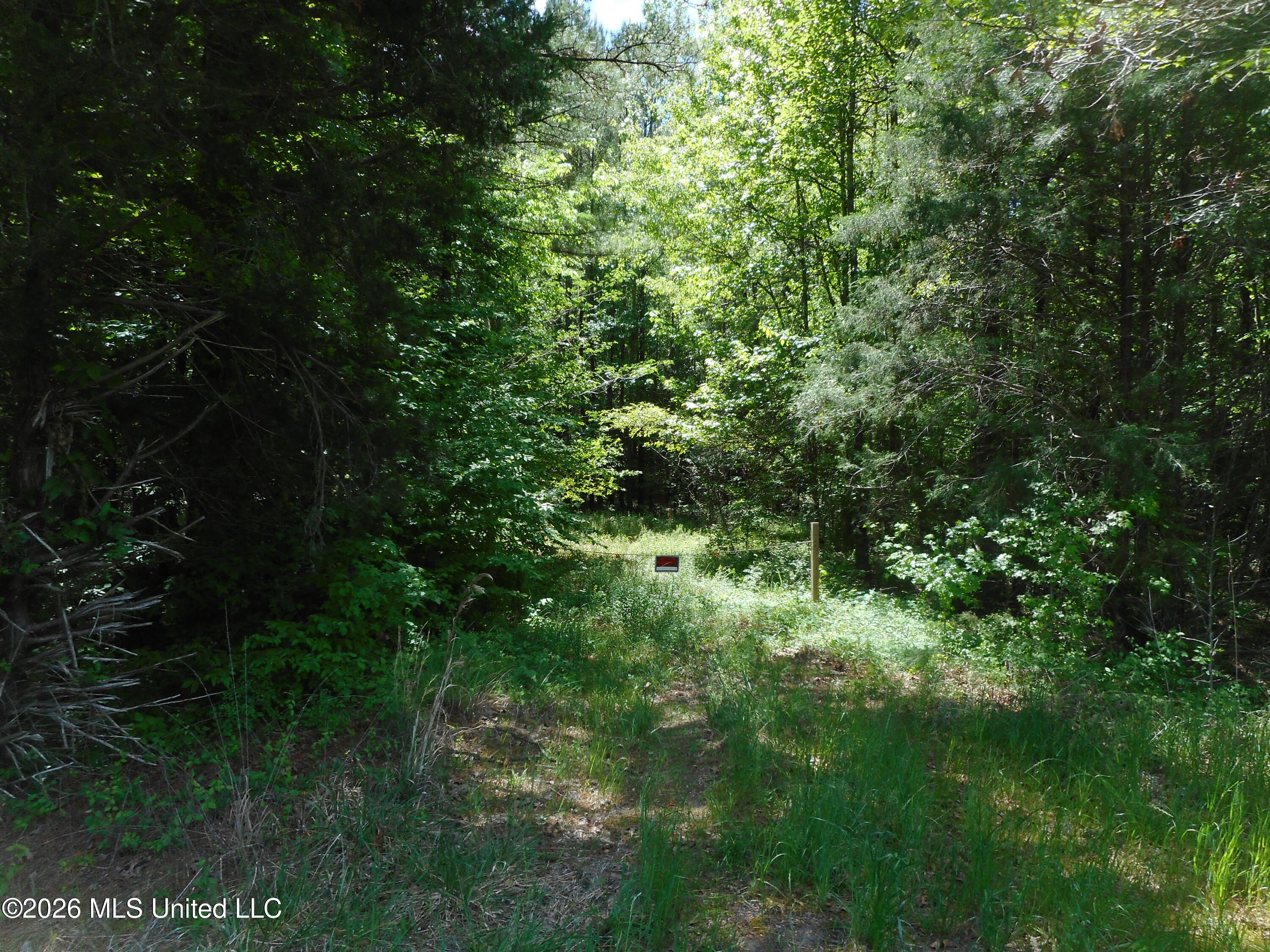Hwy 25 Property Photo 5