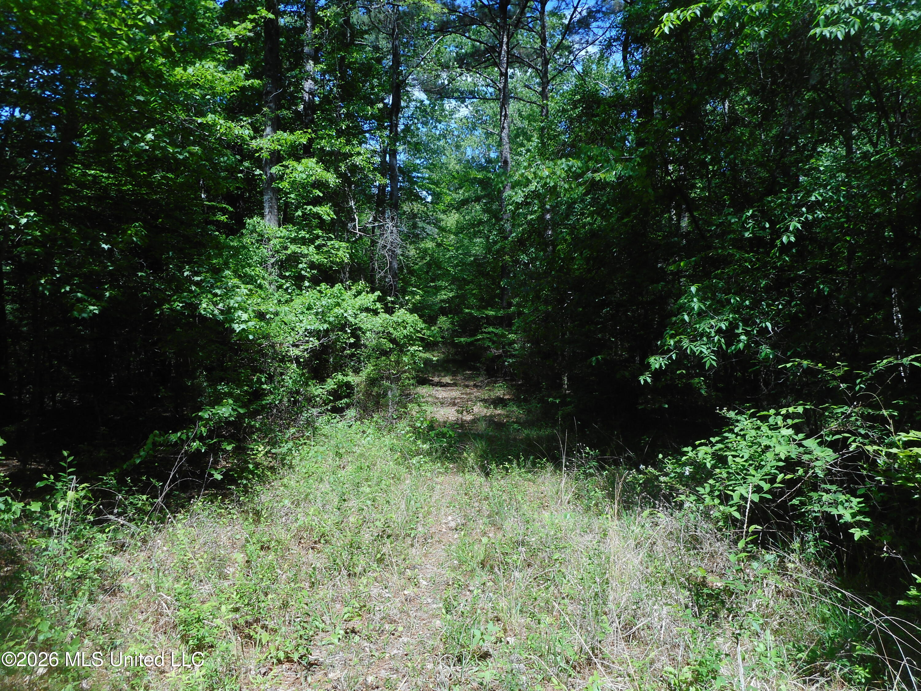 Hwy 25 Property Photo 24