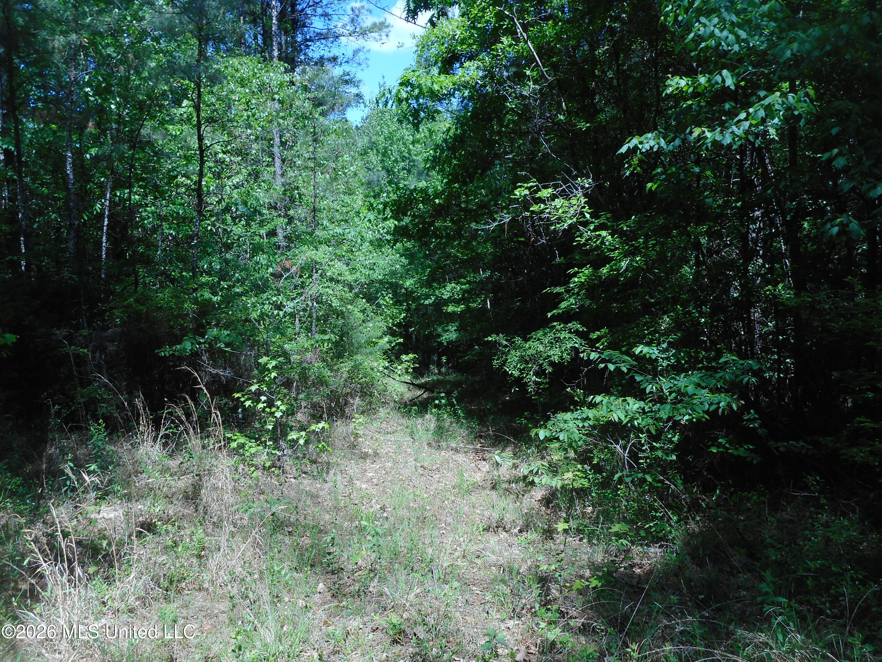 Hwy 25 Property Photo 25