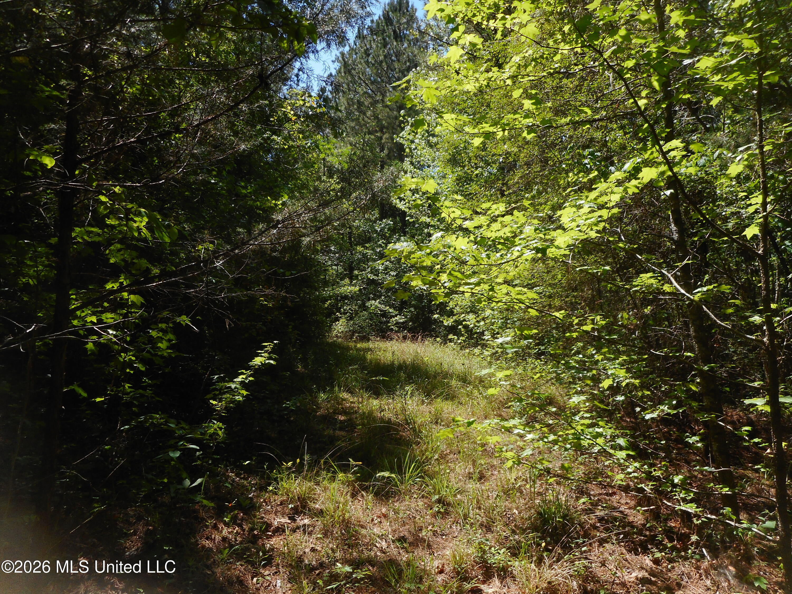 Hwy 25 Property Photo 27