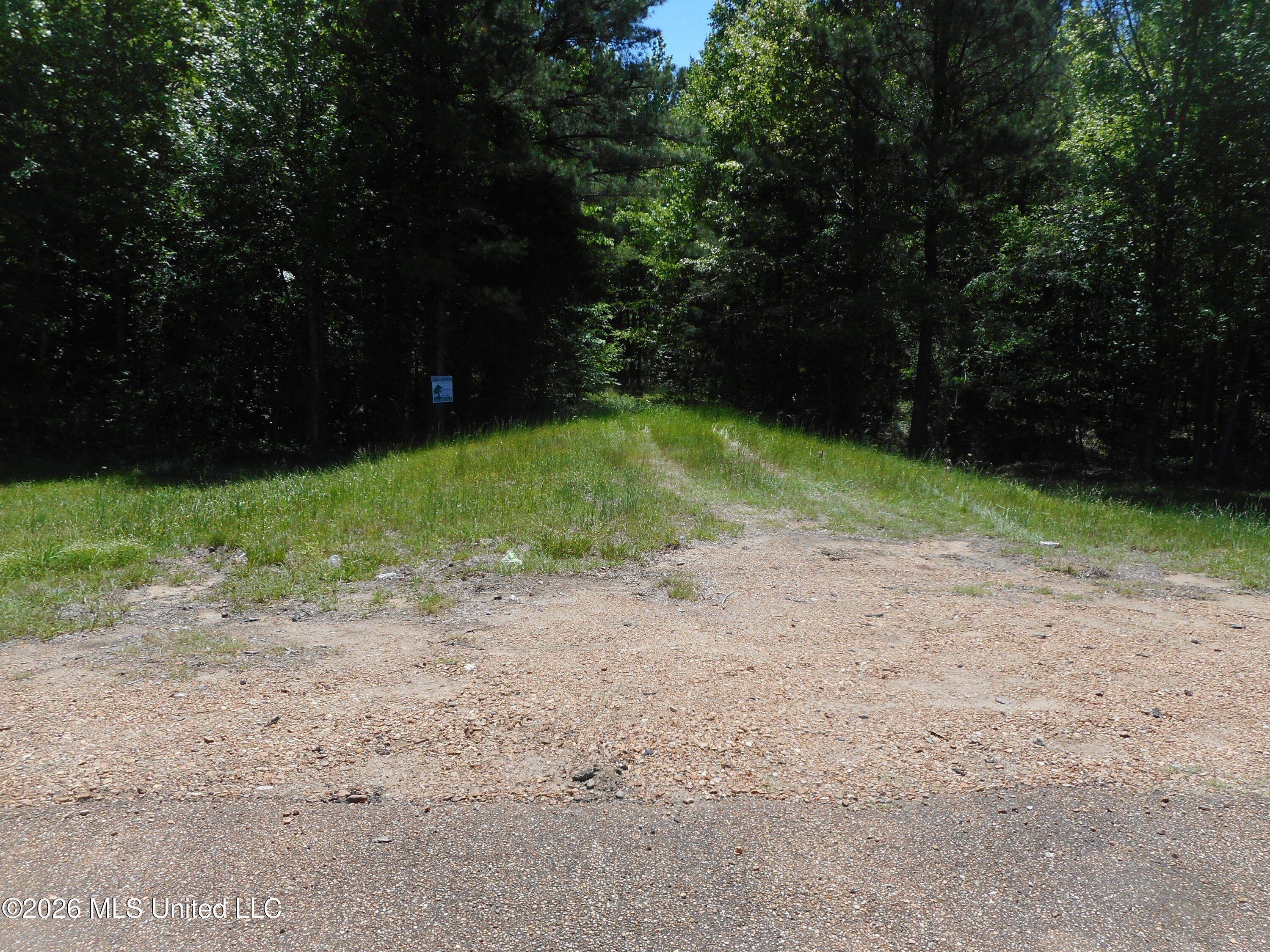 Hwy 25 Property Photo 30