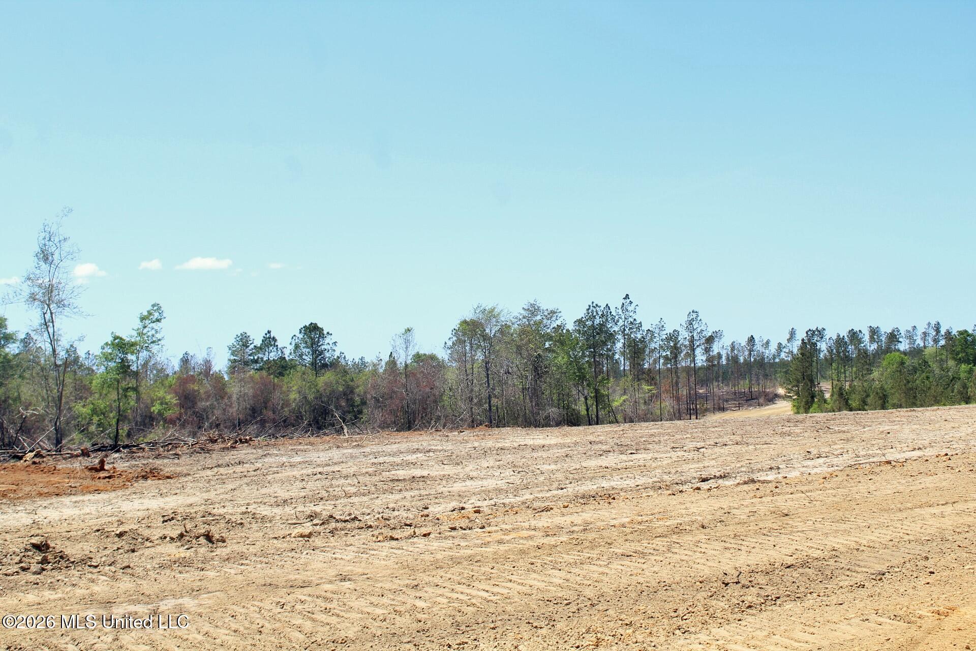 6.01ac Little Cedar Road Property Photo 1