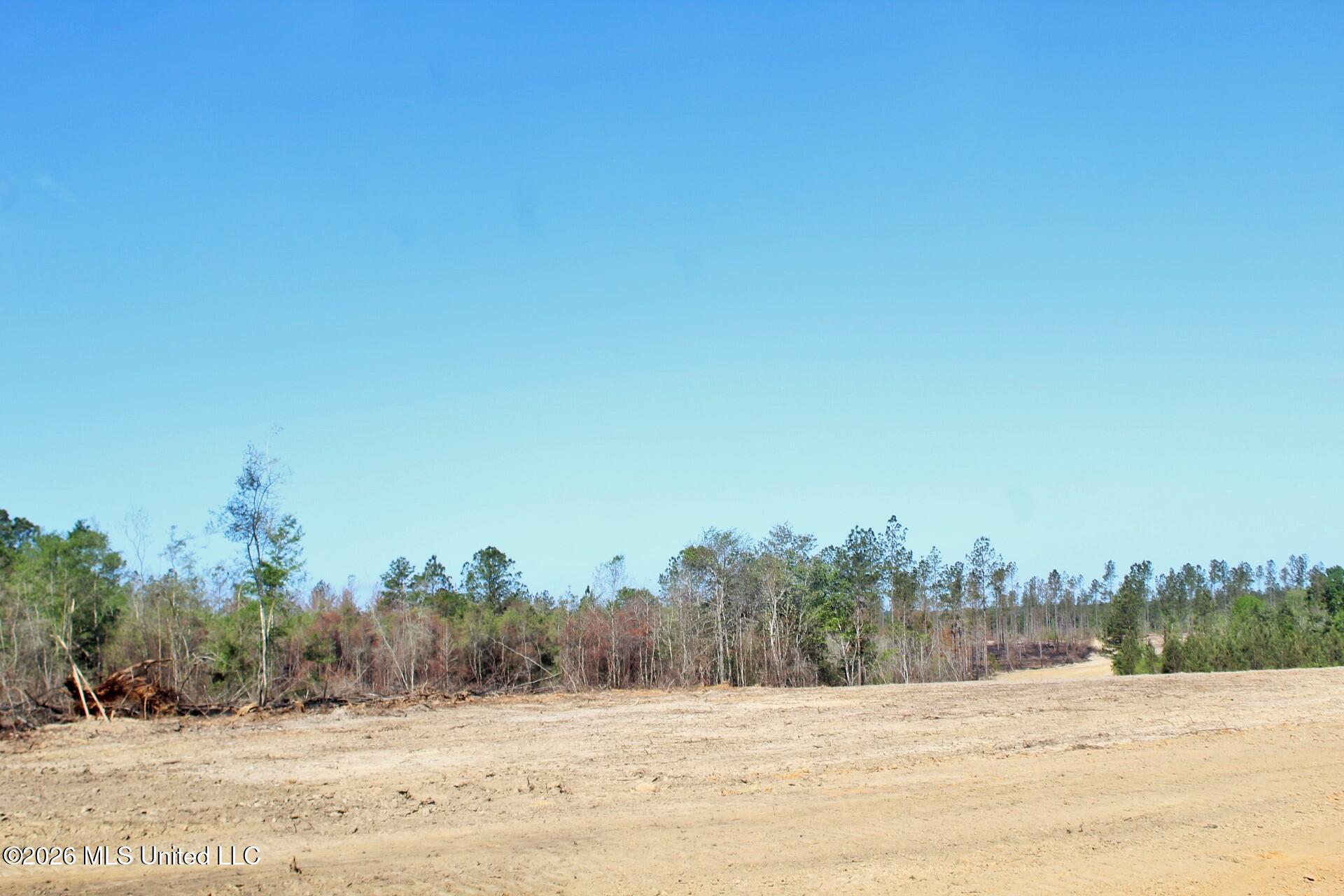 6.01ac Little Cedar Road Property Photo 5