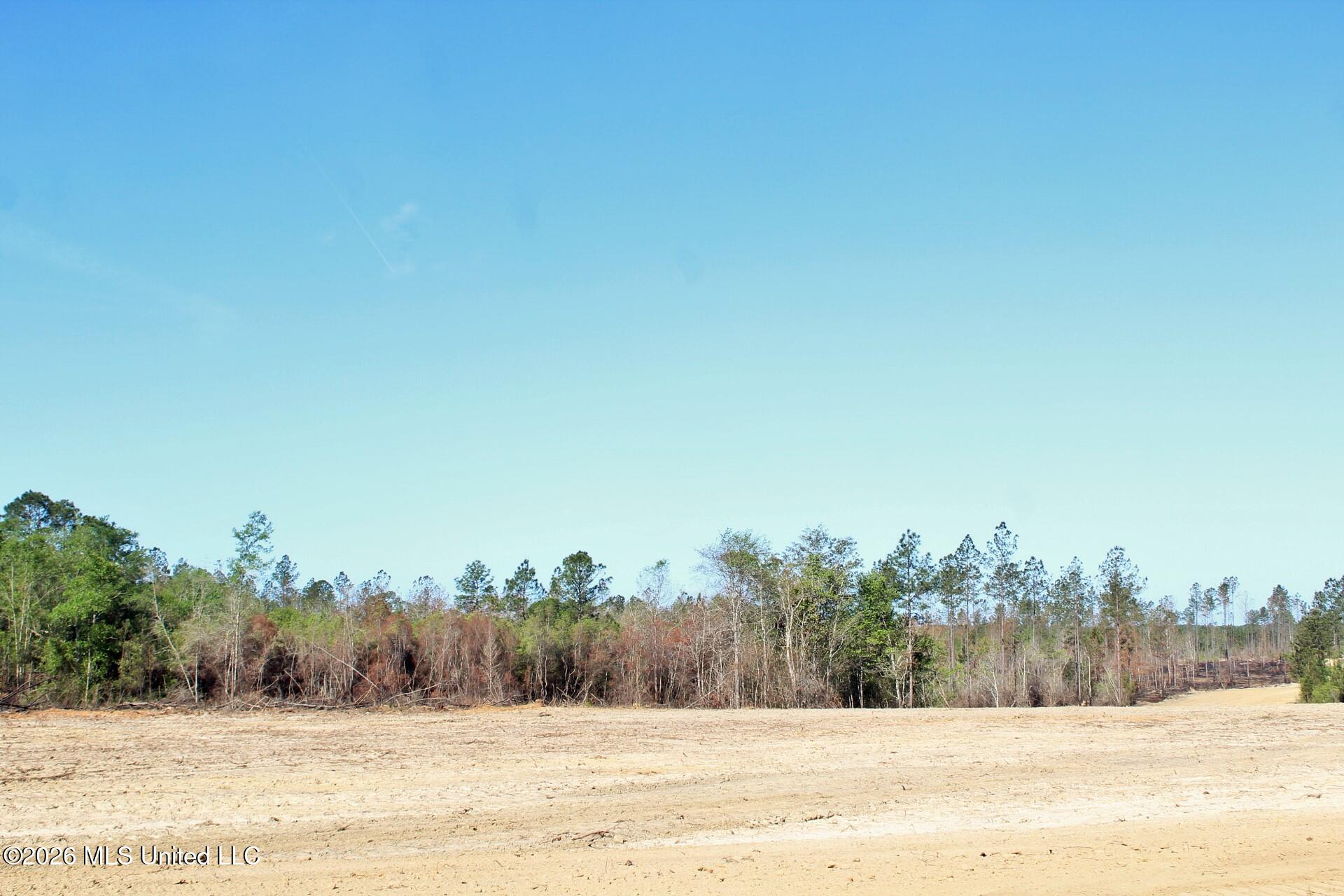 6.01ac Little Cedar Road Property Photo 10