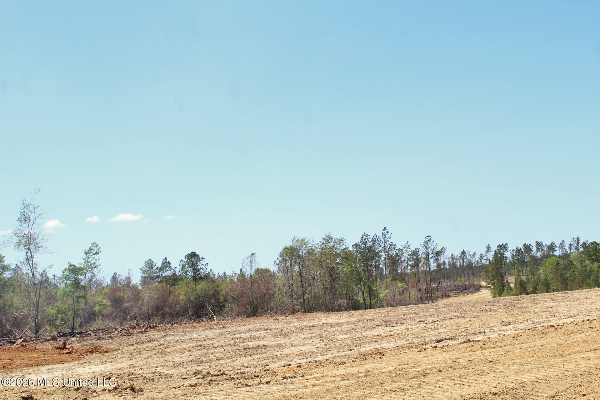 6.01ac Little Cedar Road Property Photo 11
