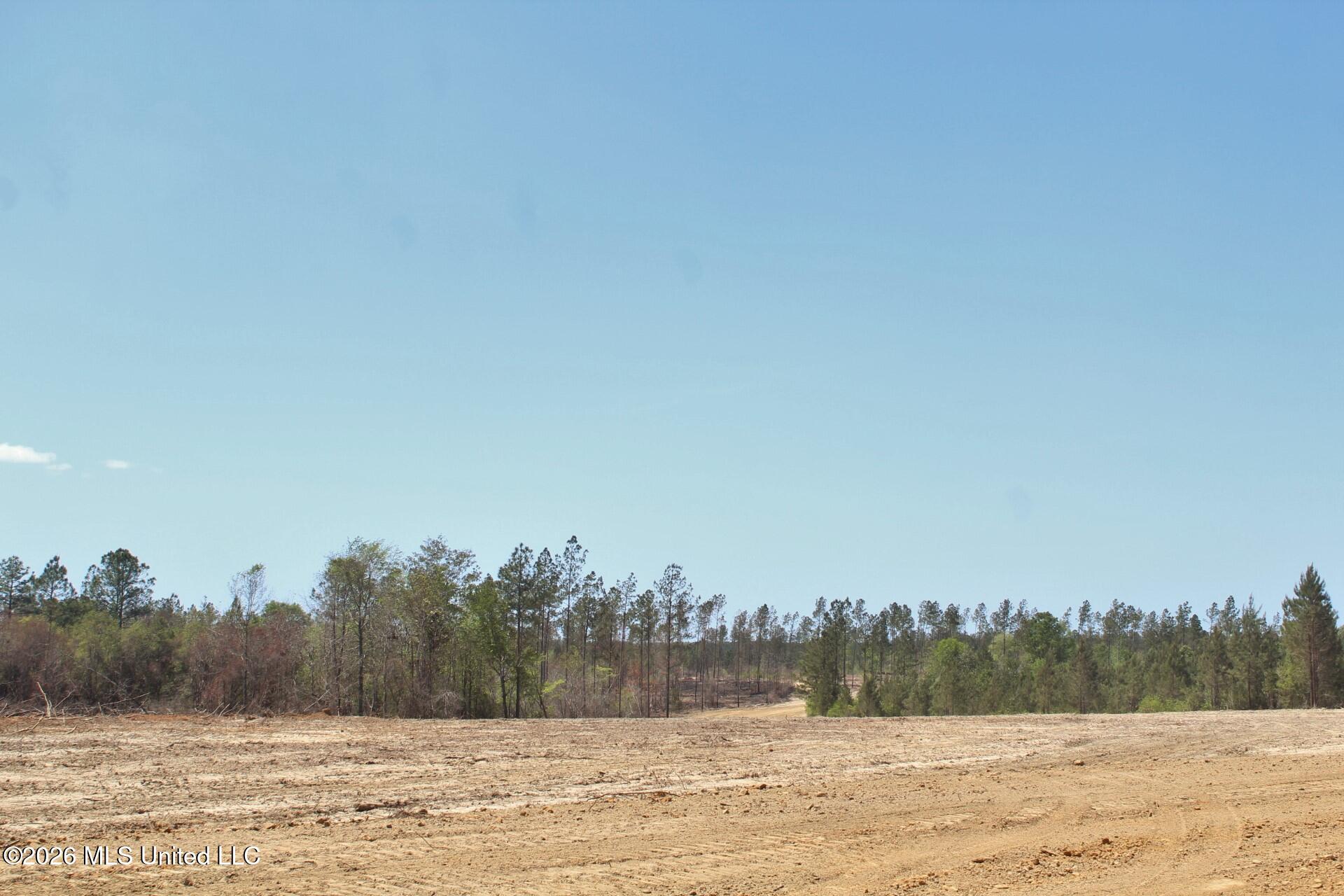 6.01ac Little Cedar Road Property Photo 14