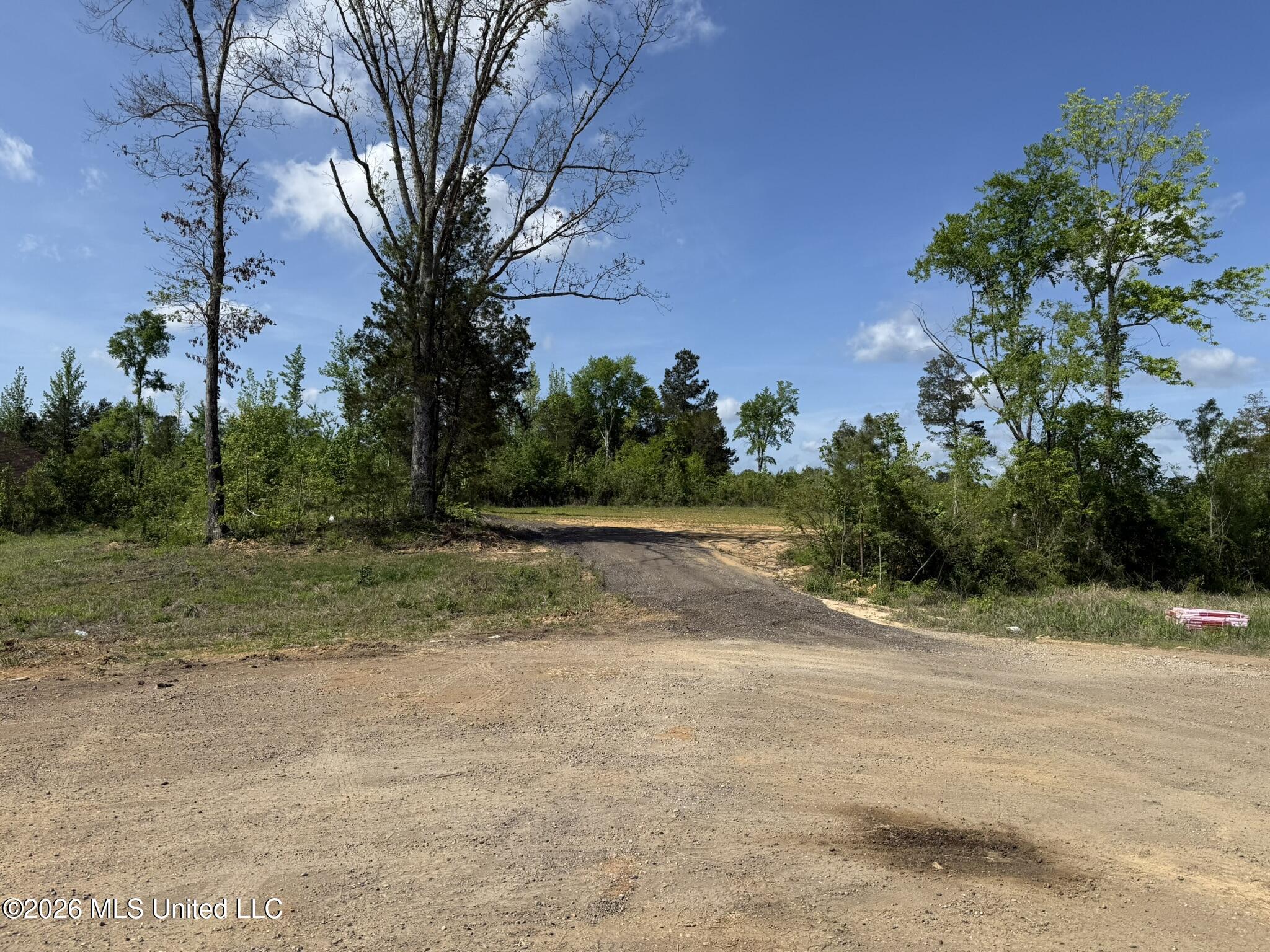 25 Honey Suckle Cove Property Photo 1