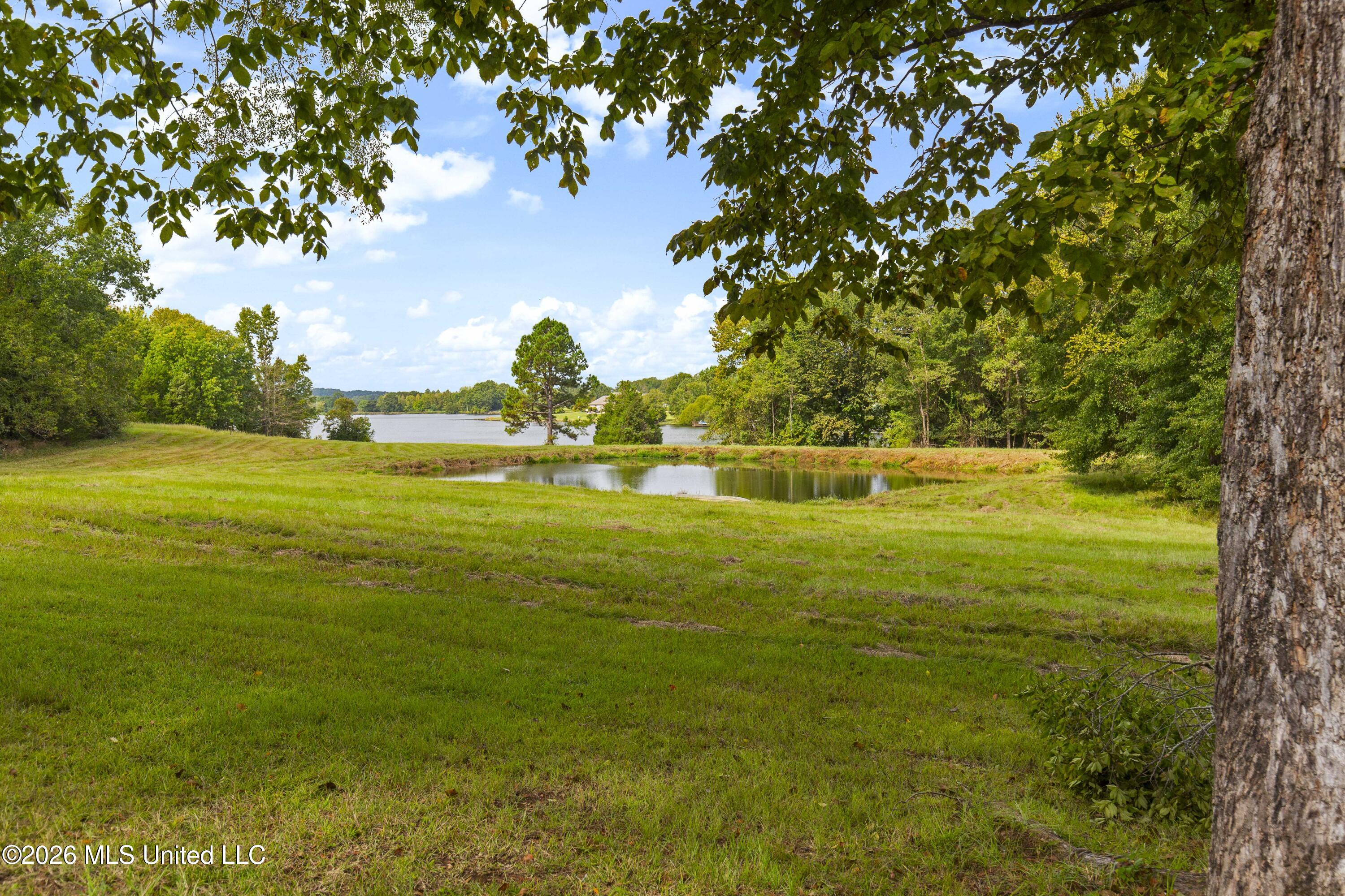 373 Chapel Hill Road Property Photo 43