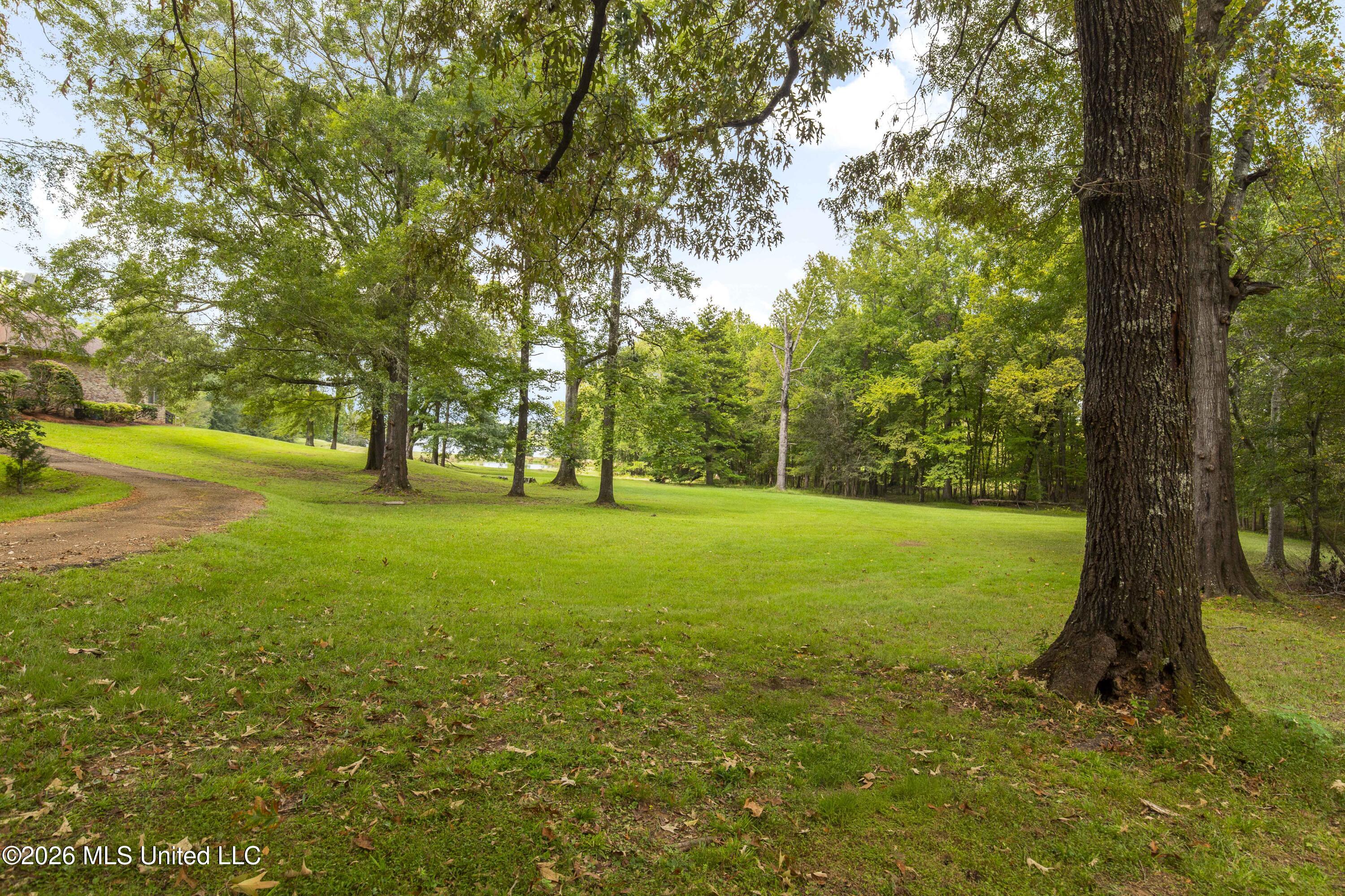 373 Chapel Hill Road Property Photo 45
