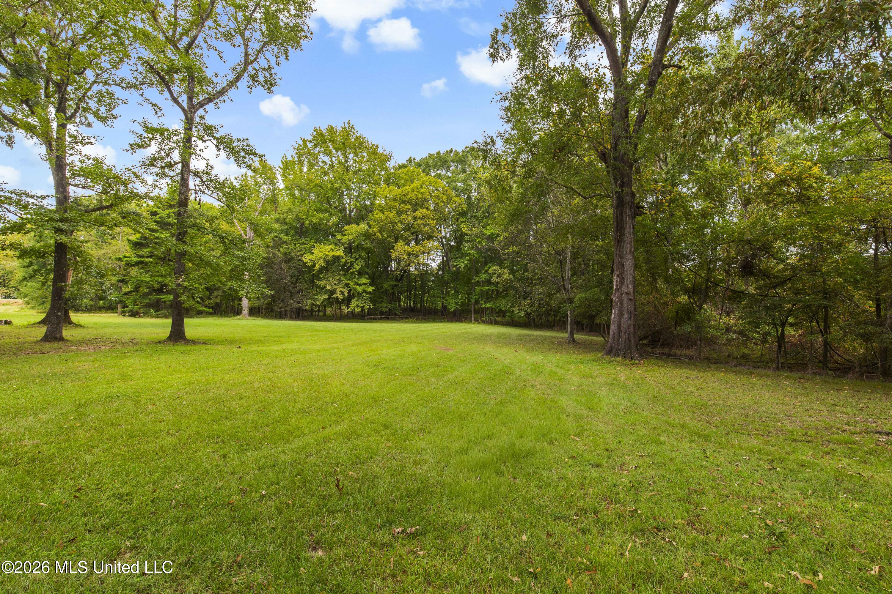 373 Chapel Hill Road Property Photo 46