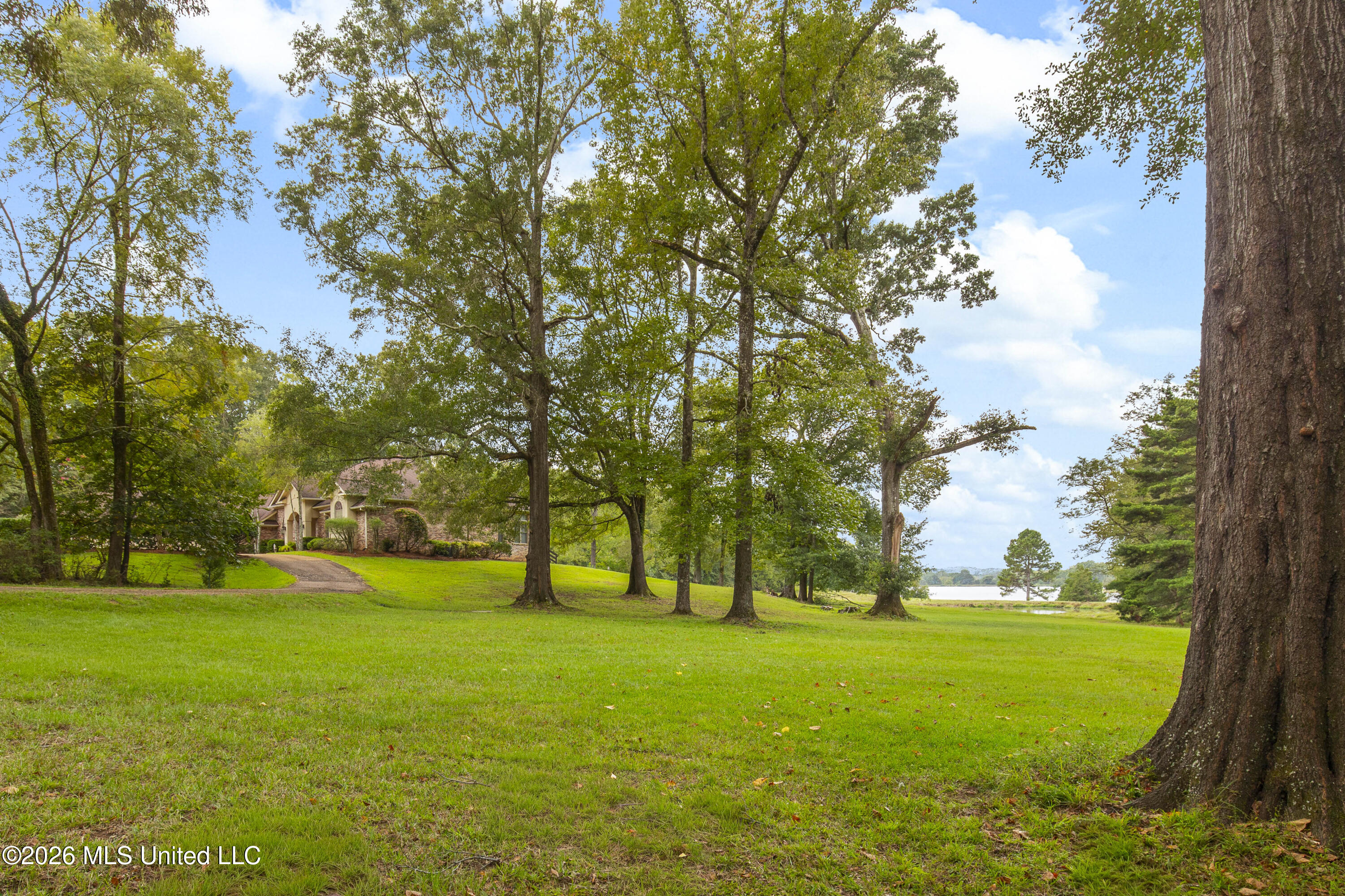 373 Chapel Hill Road Property Photo 49