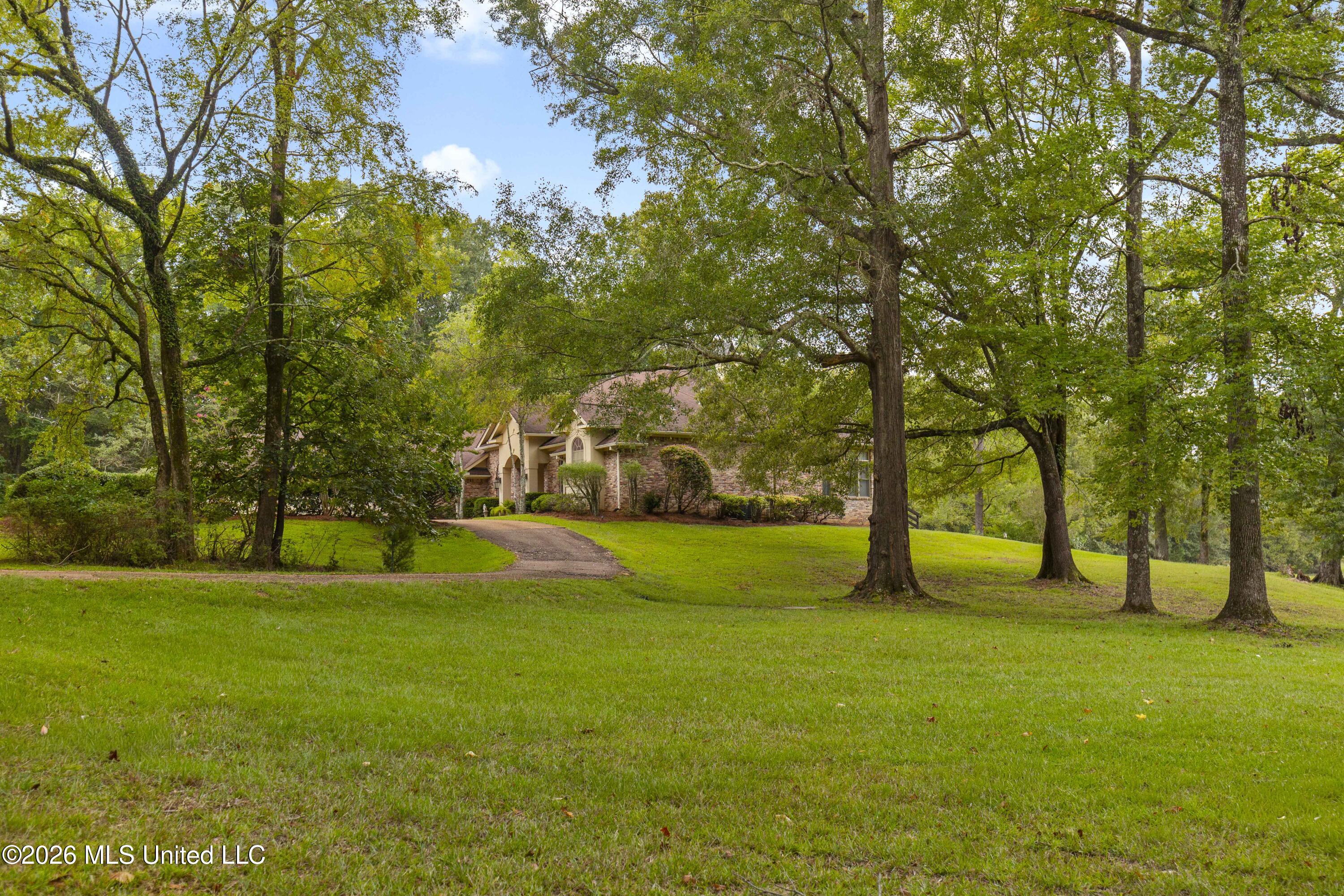 373 Chapel Hill Road Property Photo 50