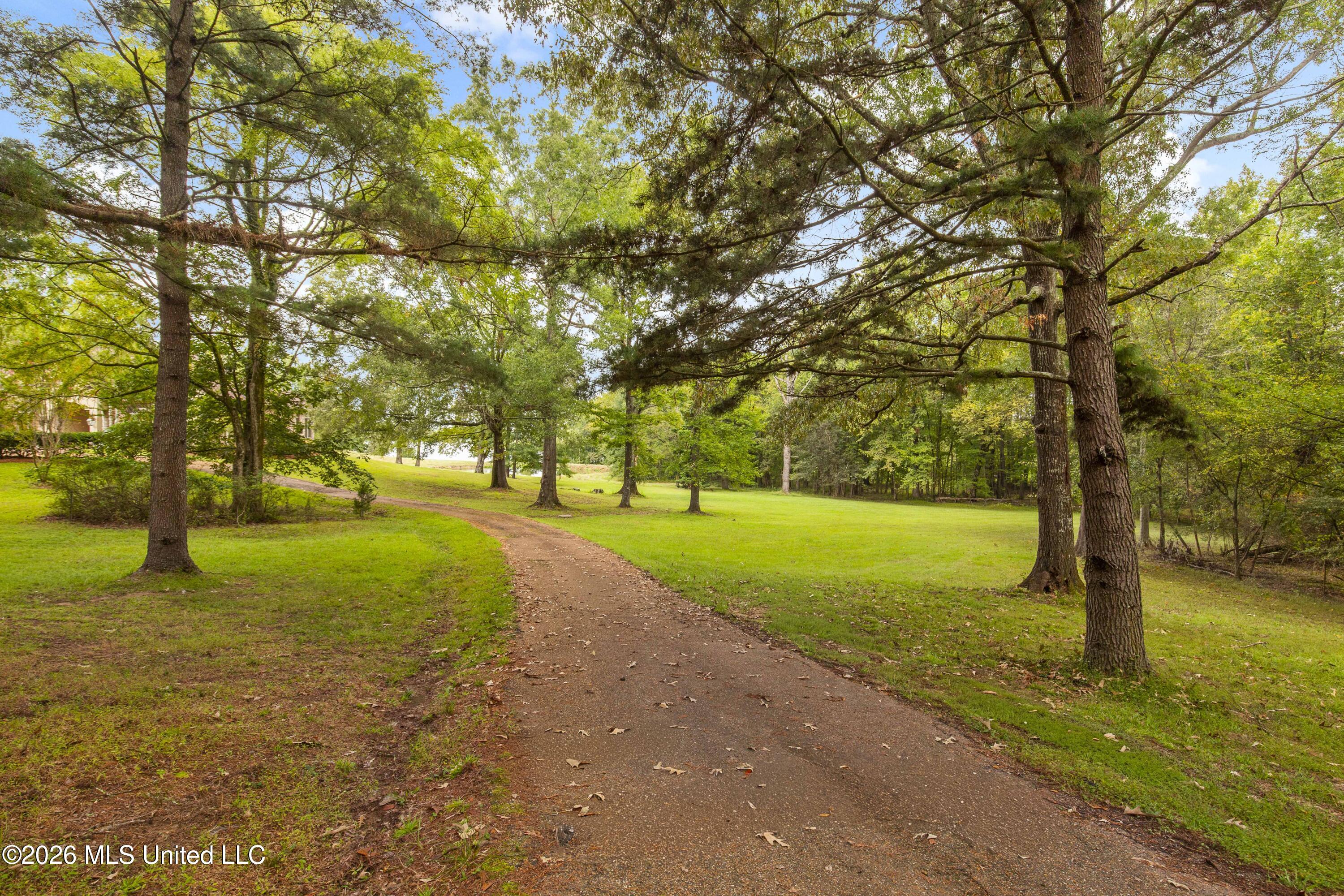 373 Chapel Hill Road Property Photo 51