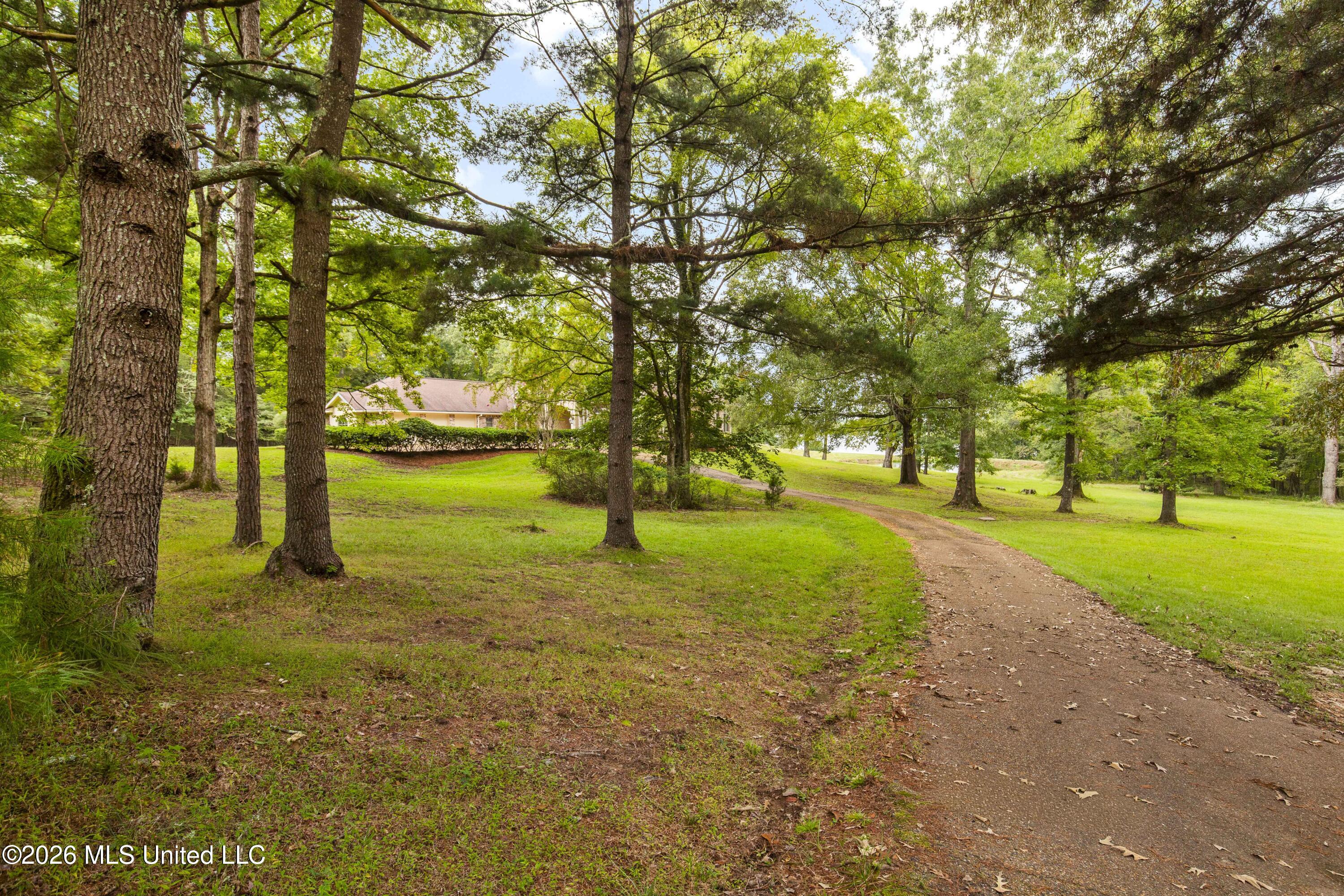 373 Chapel Hill Road Property Photo 52
