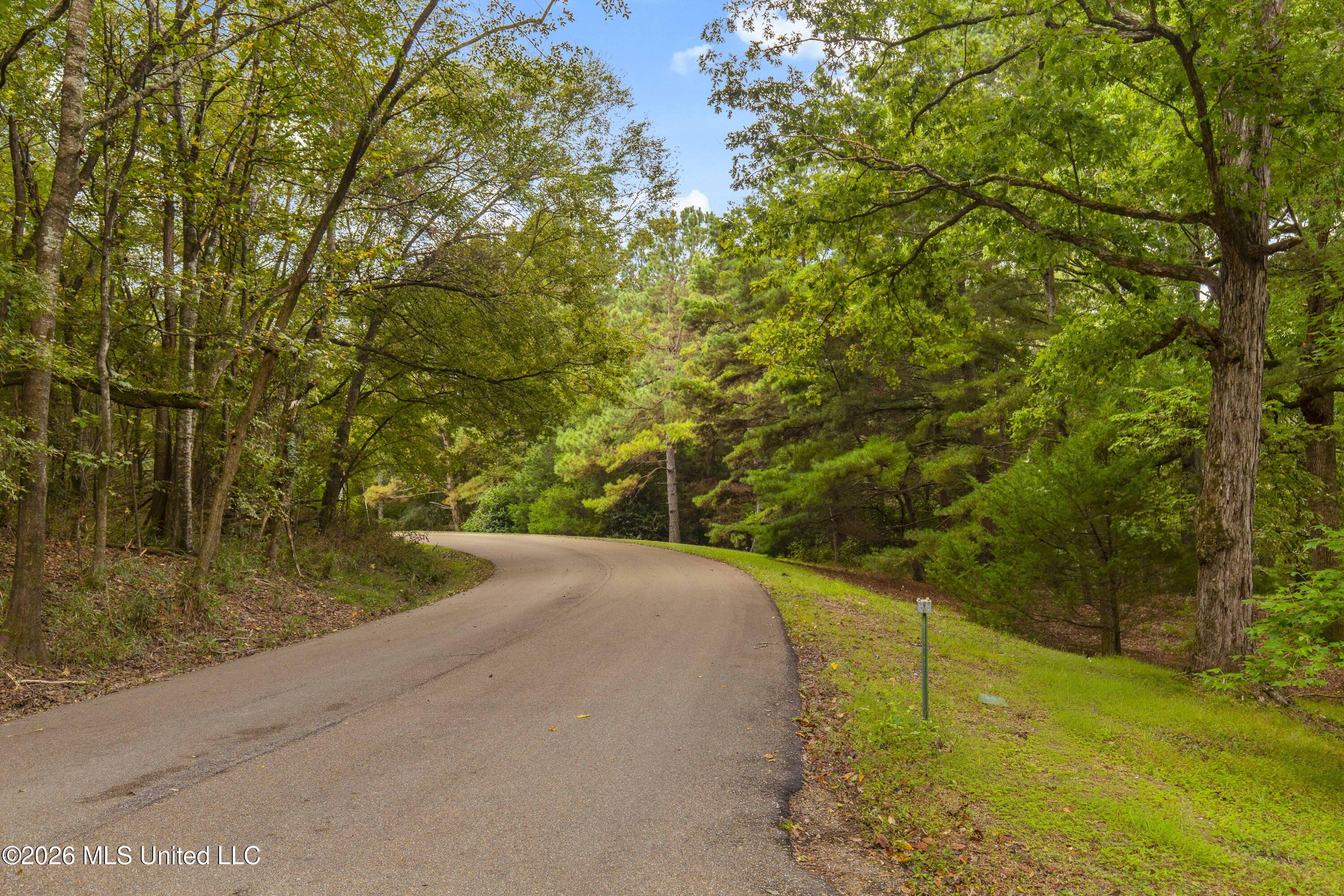 373 Chapel Hill Road Property Photo 53