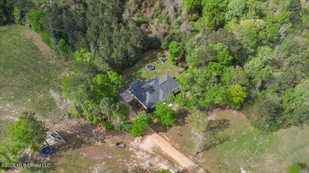 4107 Highway 589 Property Photo 33