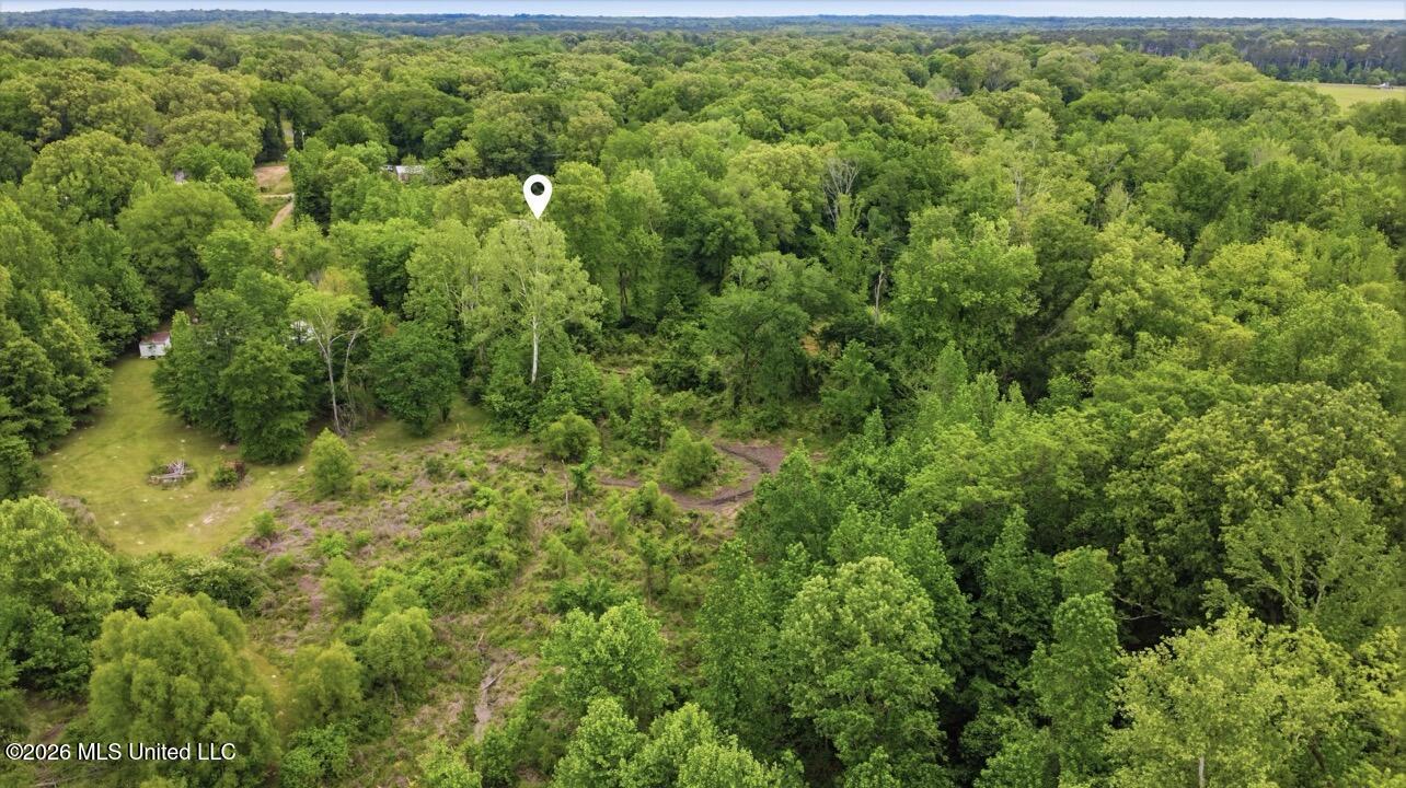 1011 Lake Drive Property Photo 6