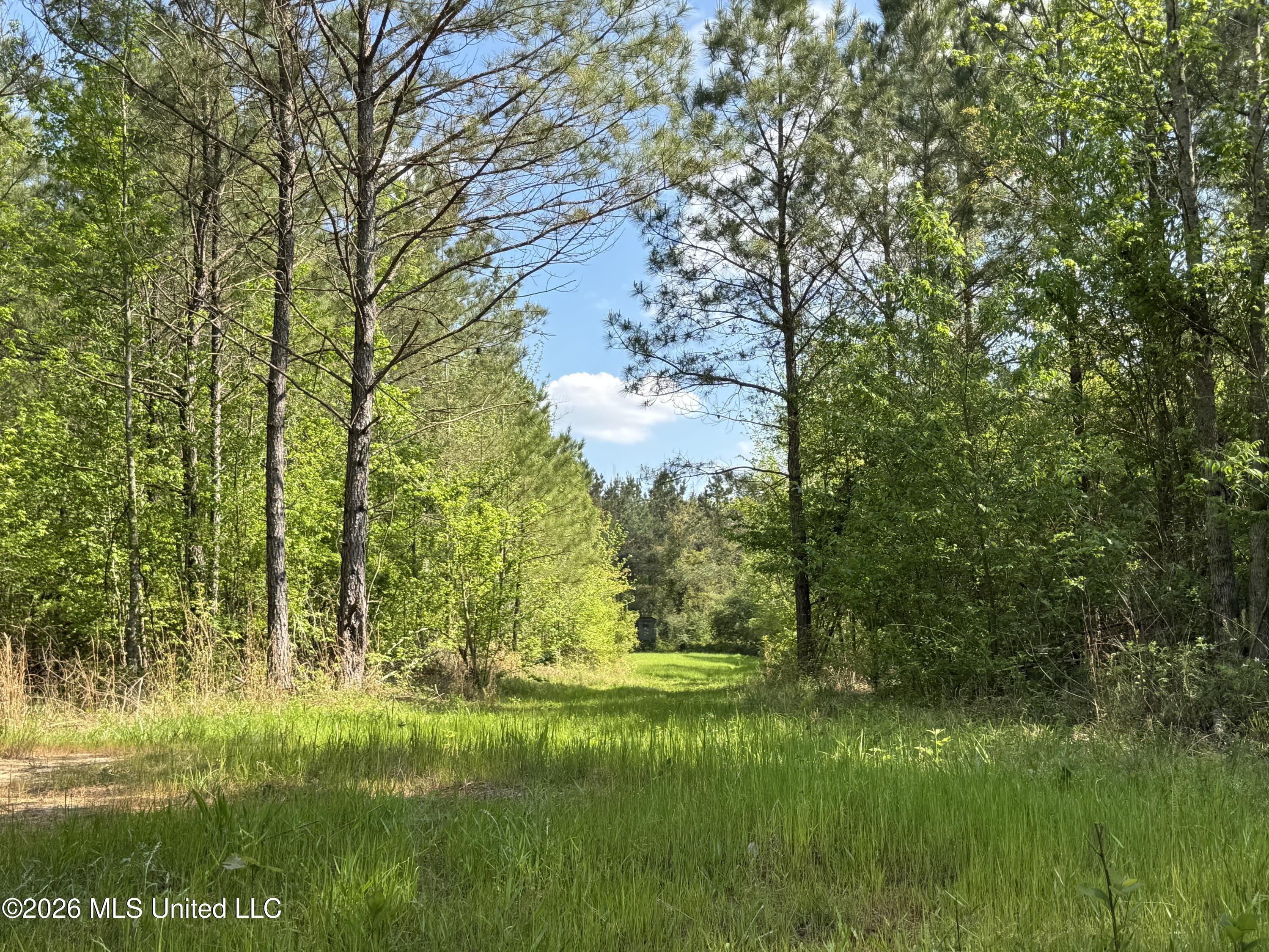 1479 Truesdale Road Property Photo 1