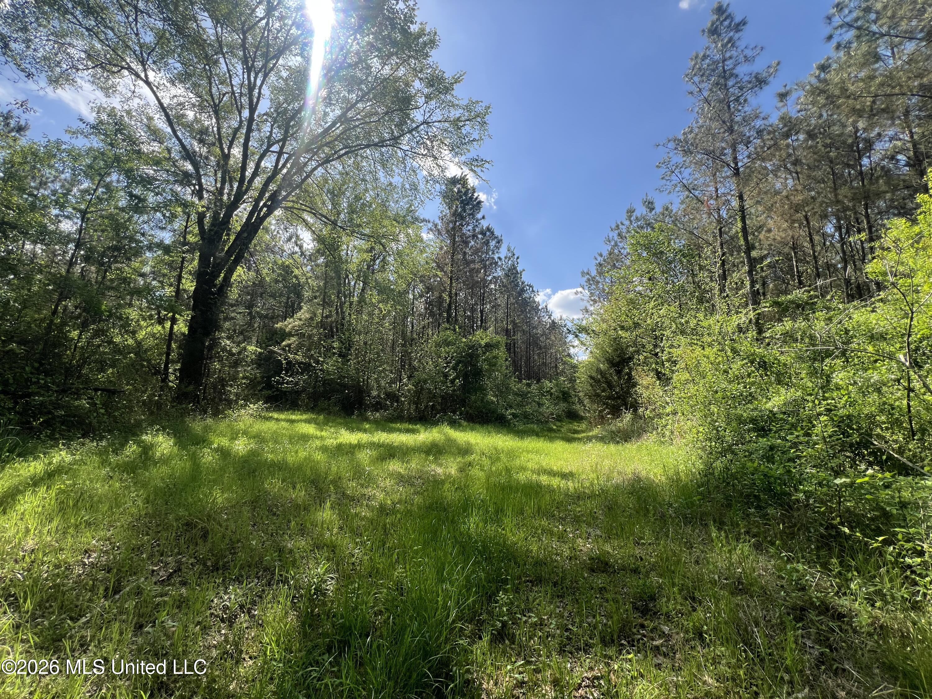 1479 Truesdale Road Property Photo 2