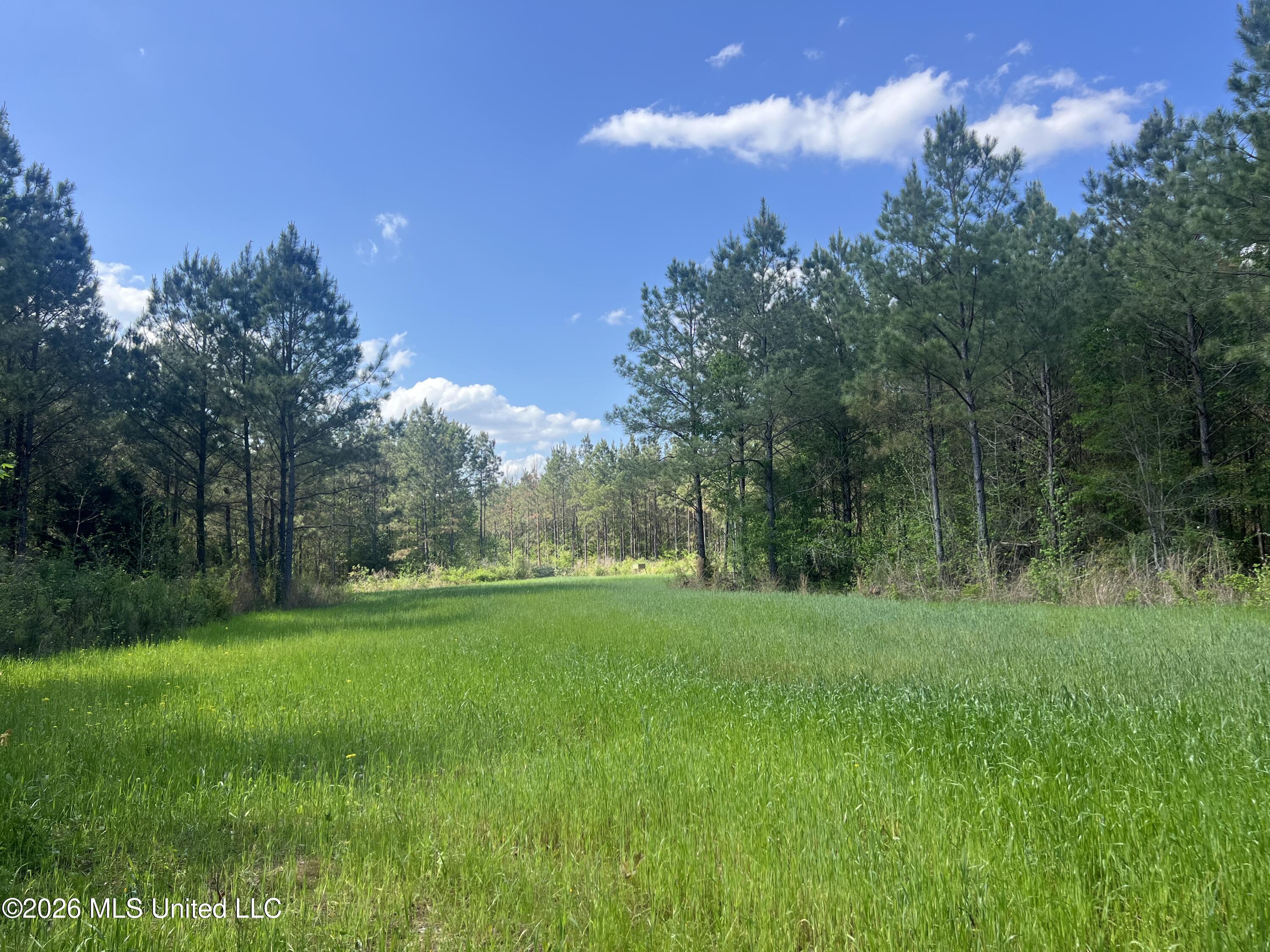 1479 Truesdale Road Property Photo 3