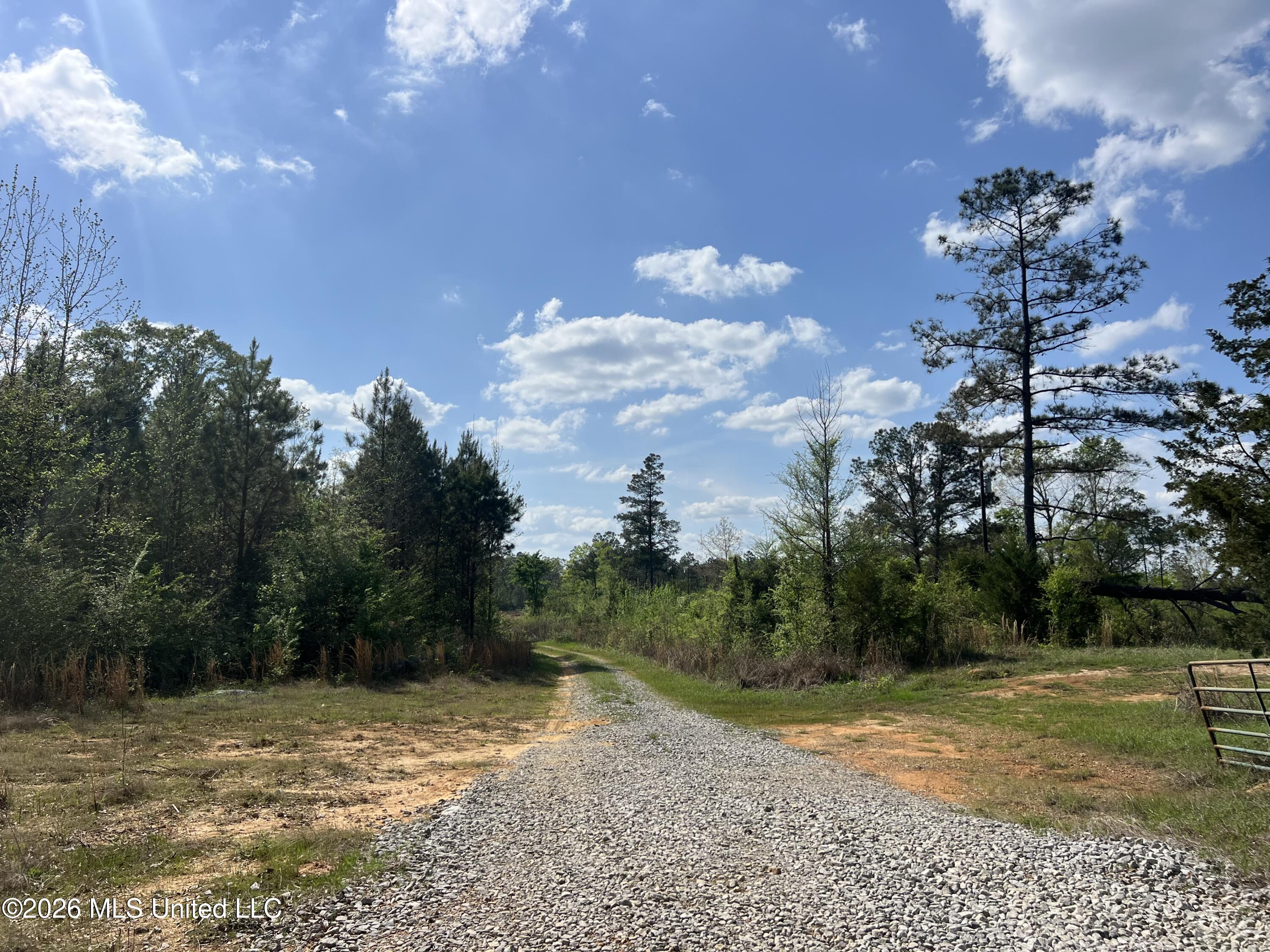 1479 Truesdale Road Property Photo 4