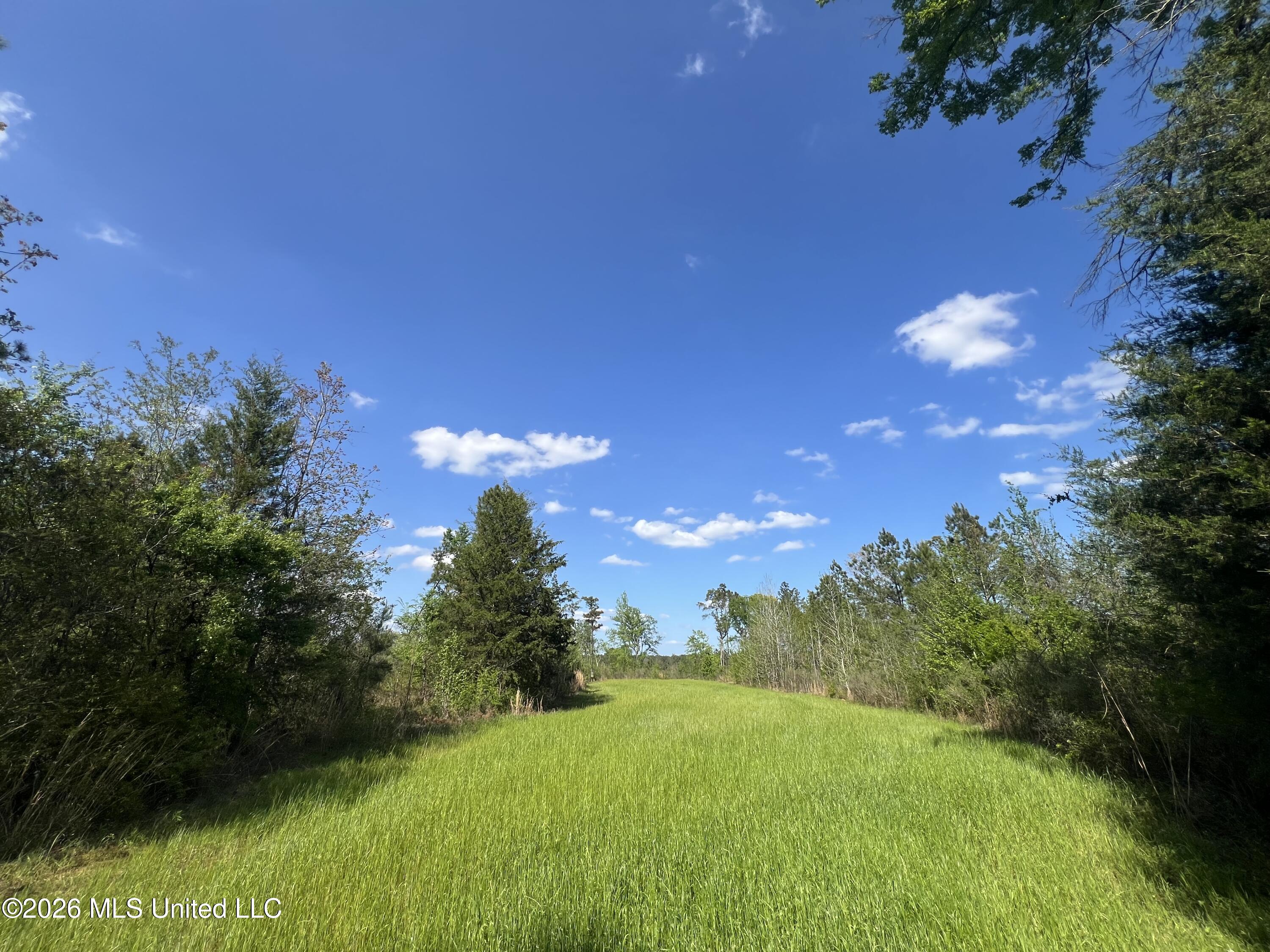 1479 Truesdale Road Property Photo 6