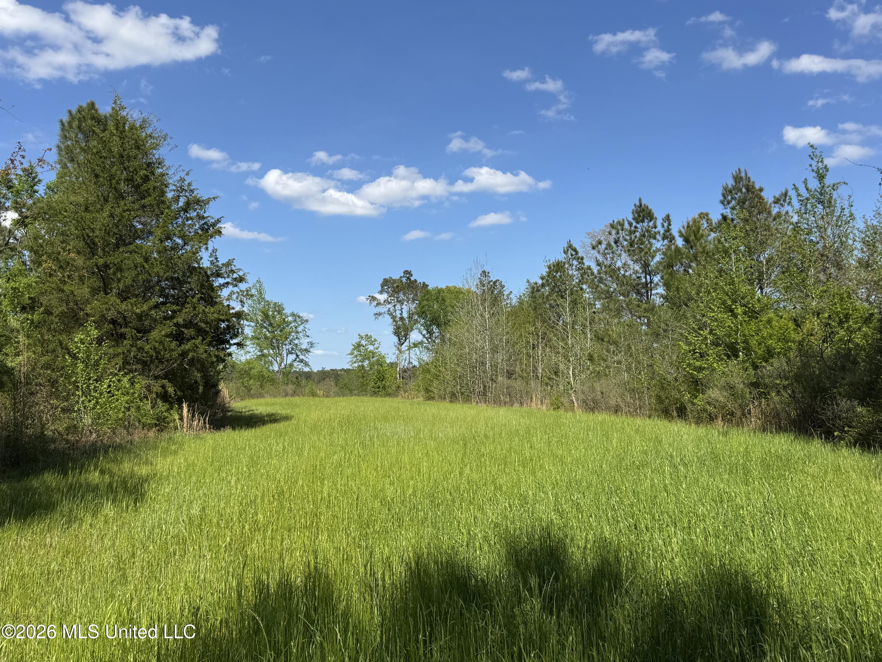 1479 Truesdale Road Property Photo 8